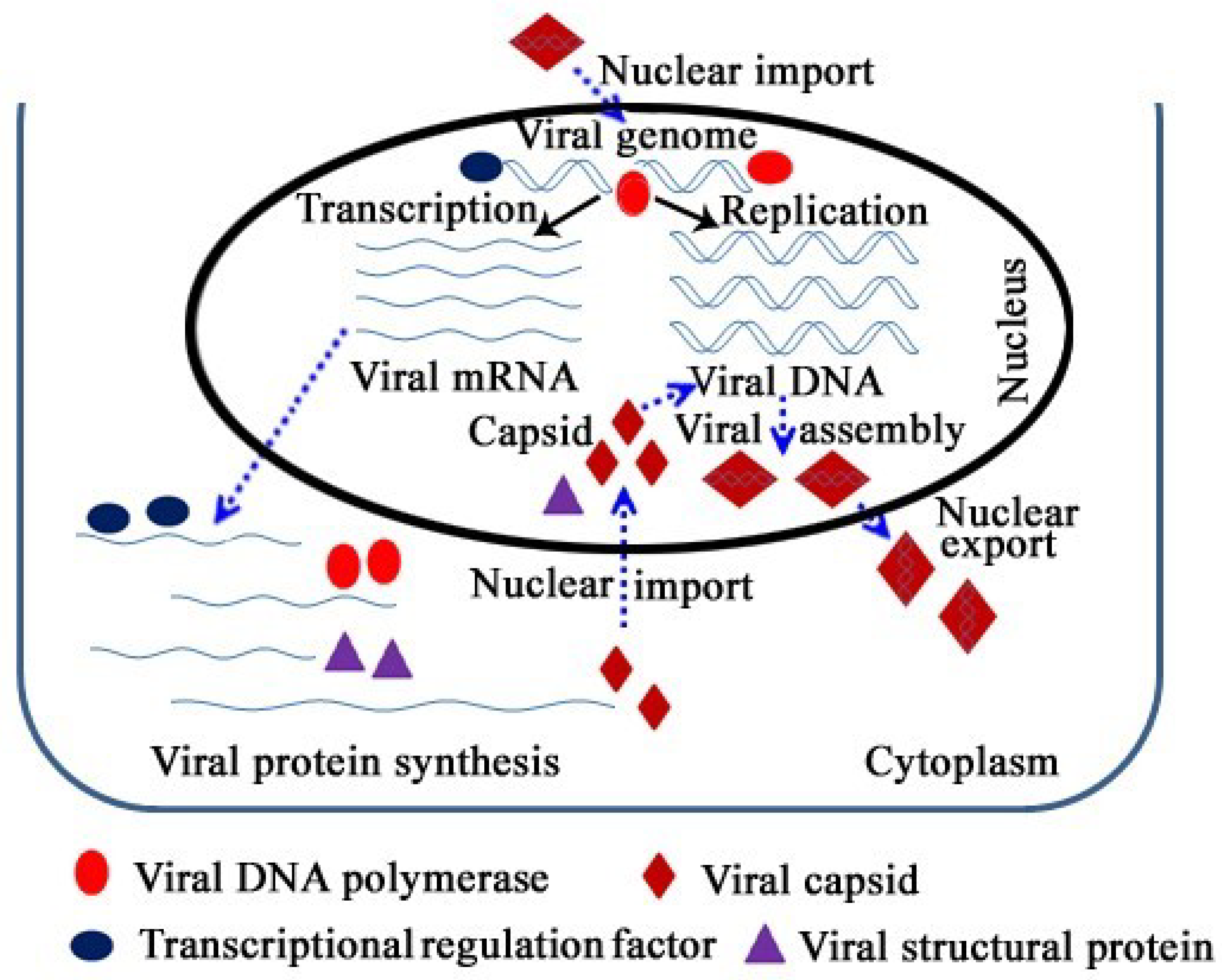 Viruses 11 01035 g001