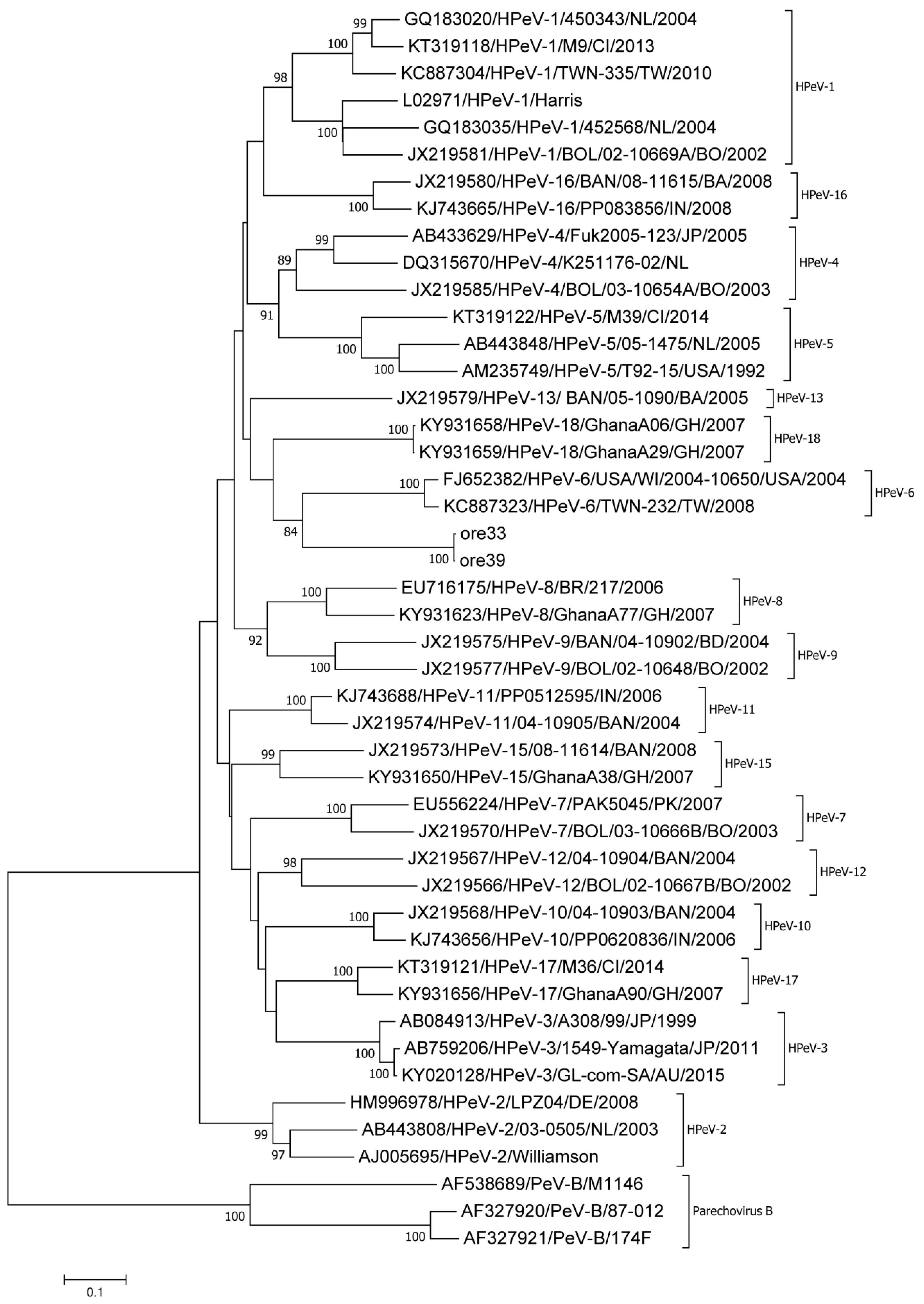 Viruses 11 01037 g003