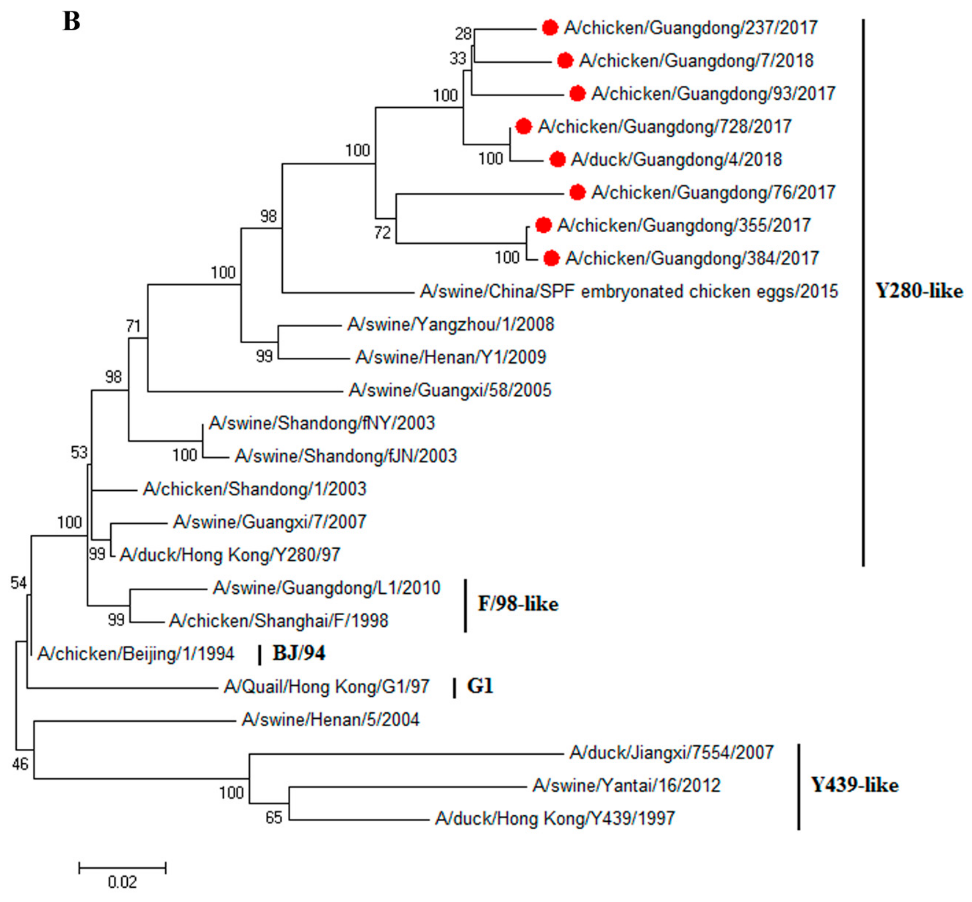Viruses 11 01040 g001b