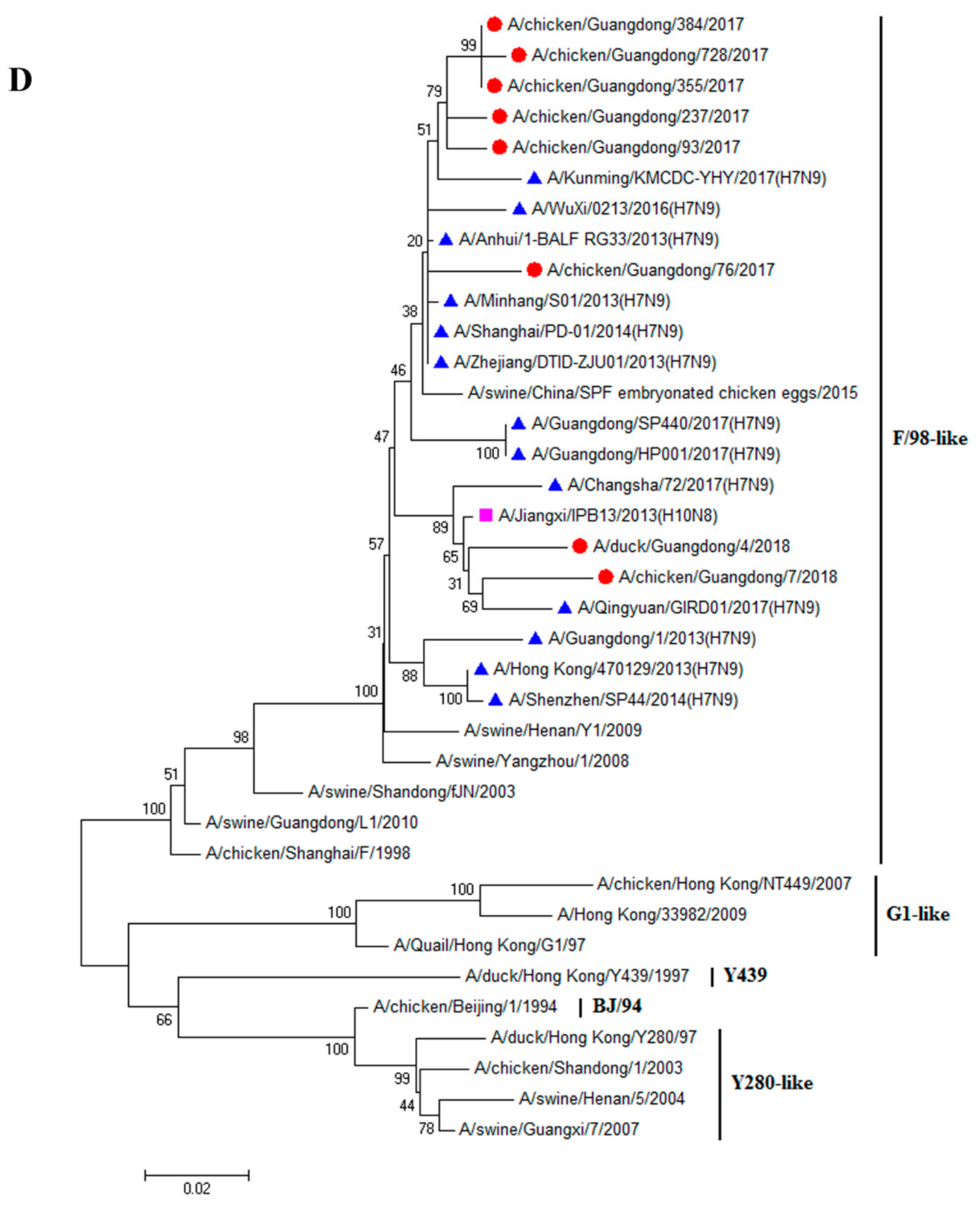 Viruses 11 01040 g001d