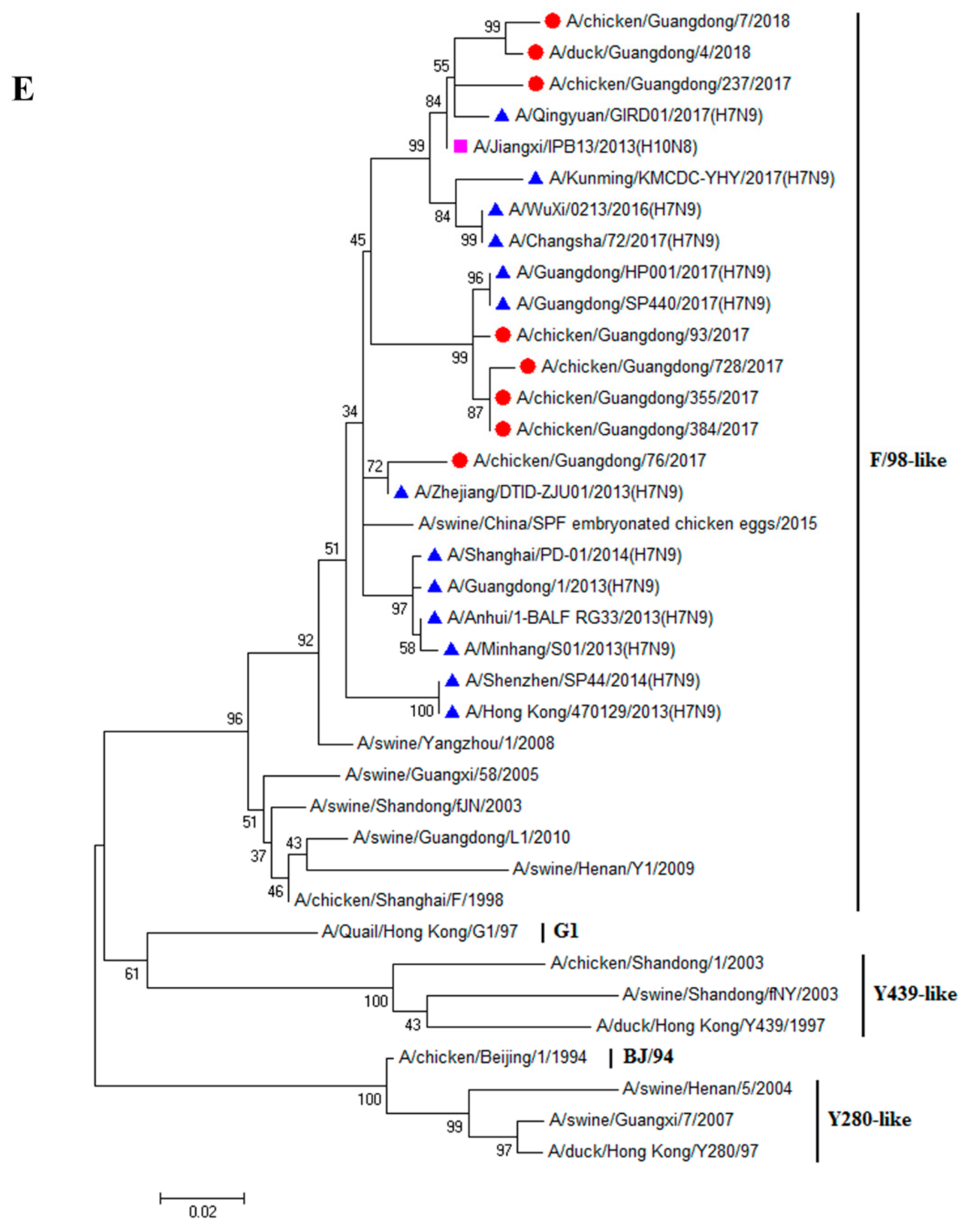 Viruses 11 01040 g001e