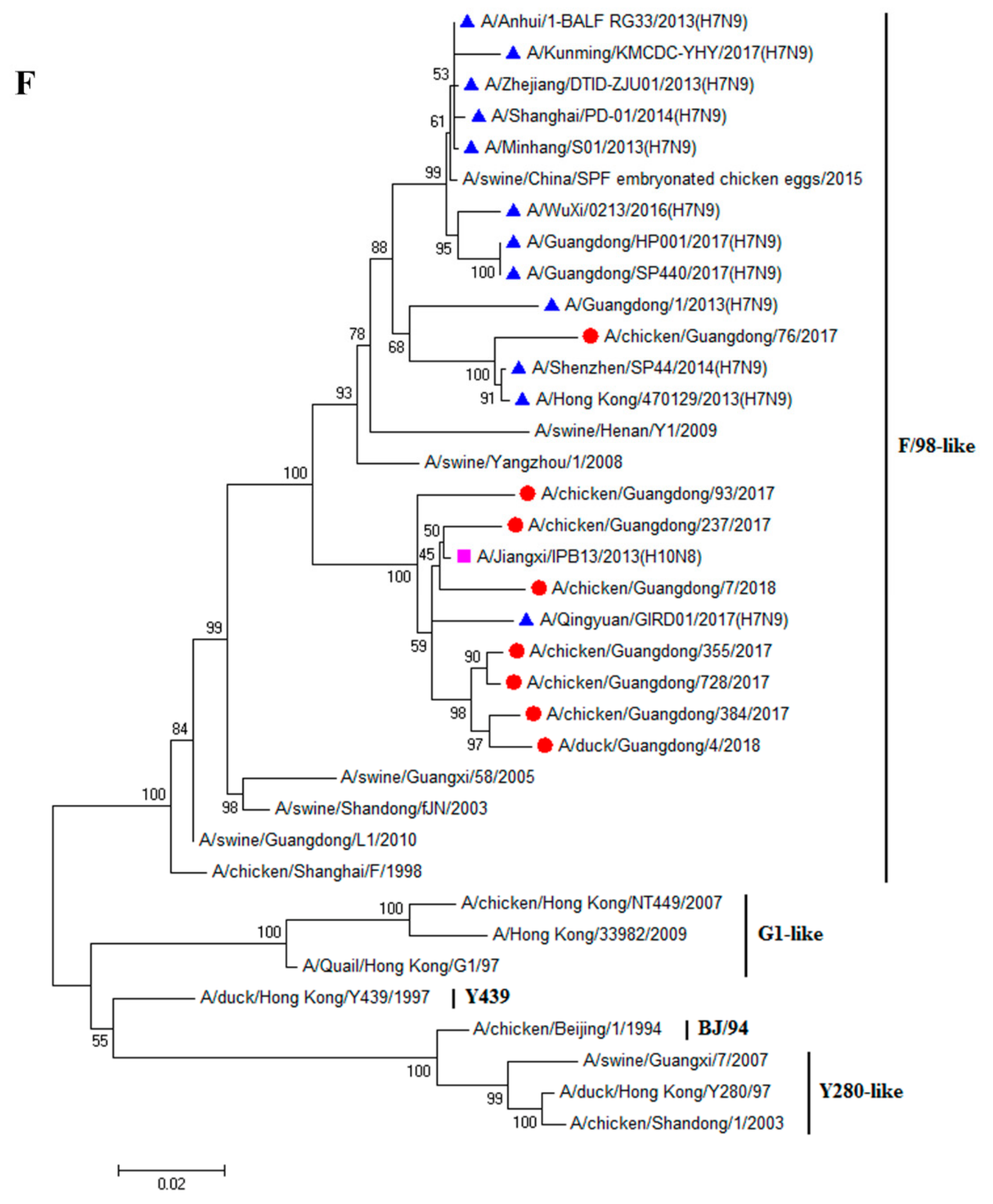 Viruses 11 01040 g001f