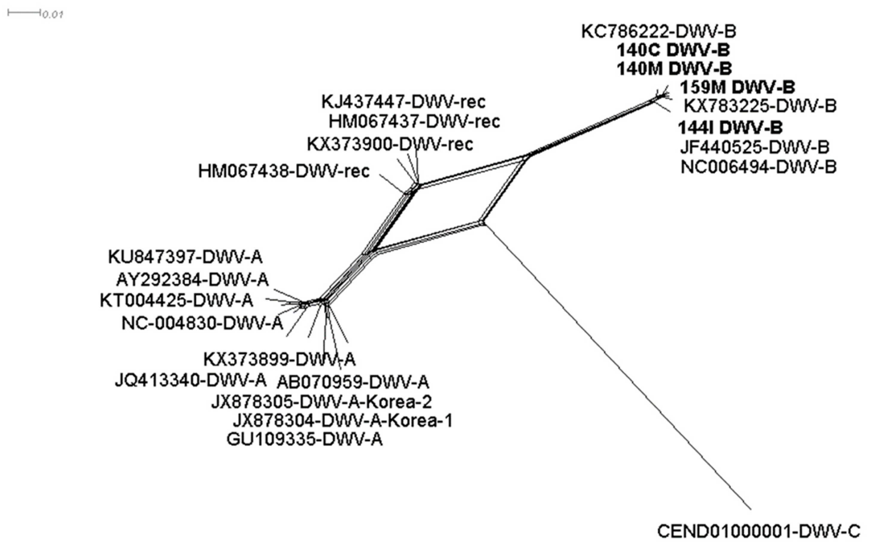 Viruses 11 01041 g002