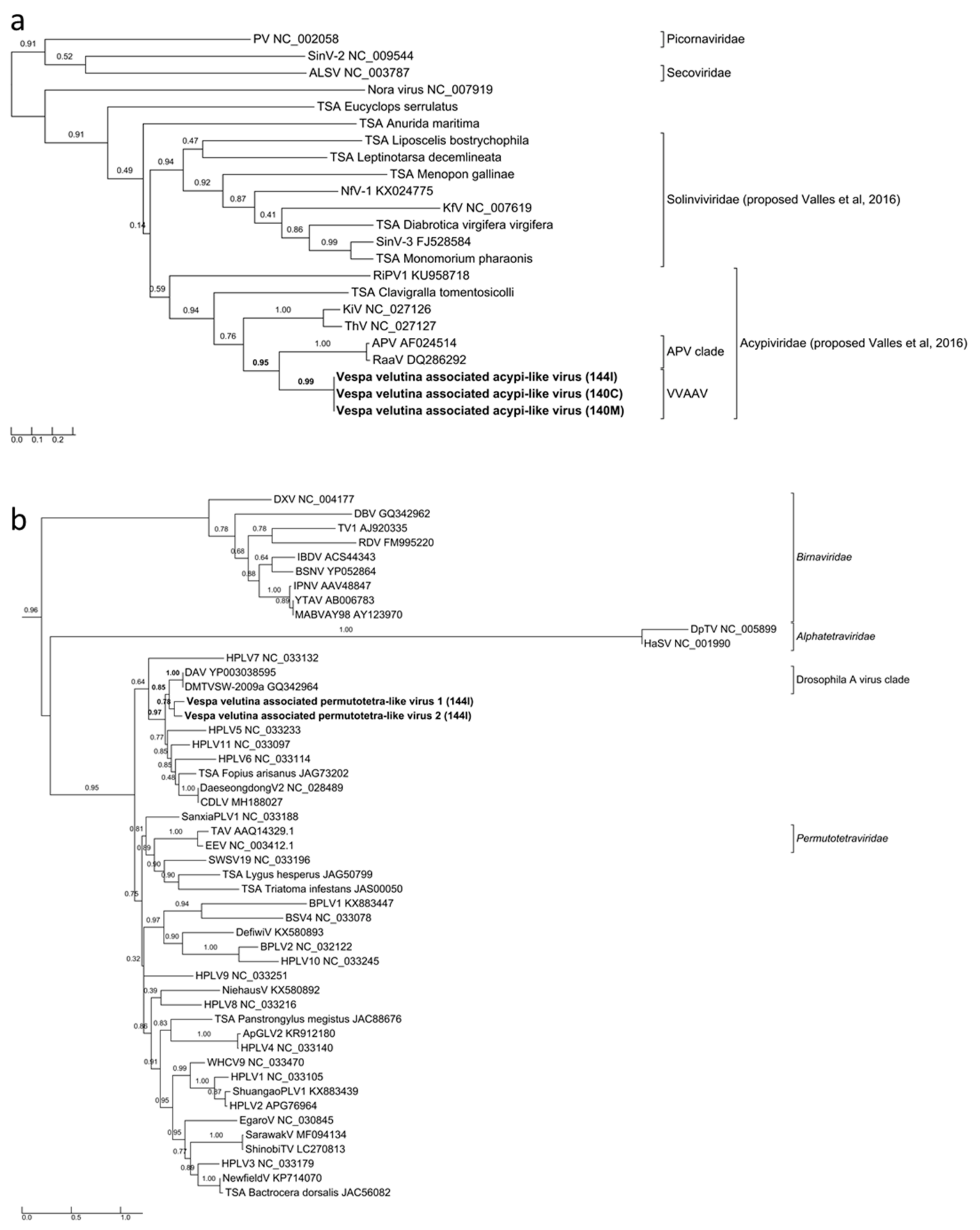 Viruses 11 01041 g005