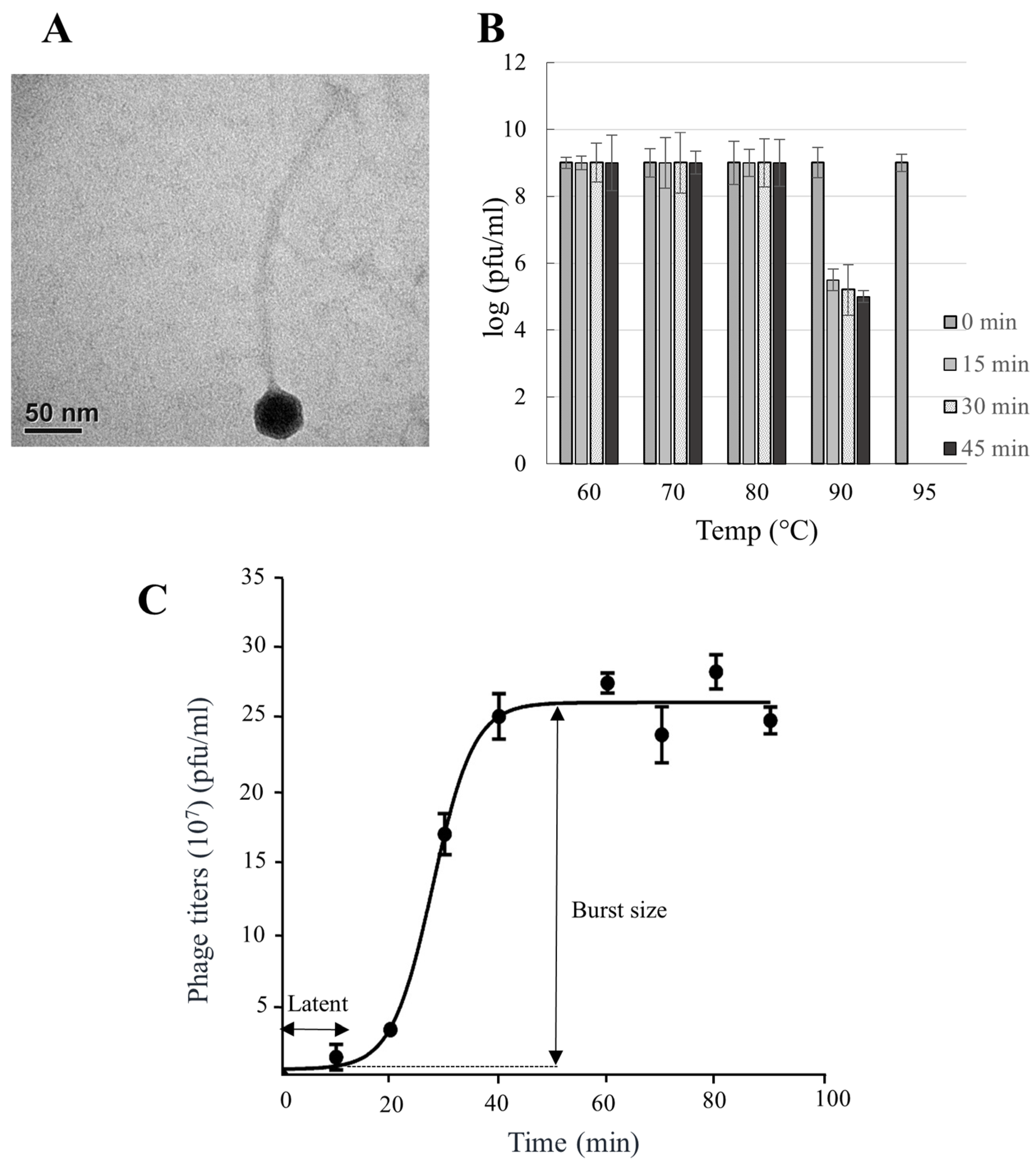 Viruses 11 01042 g002 Viruses 11 01042 g002