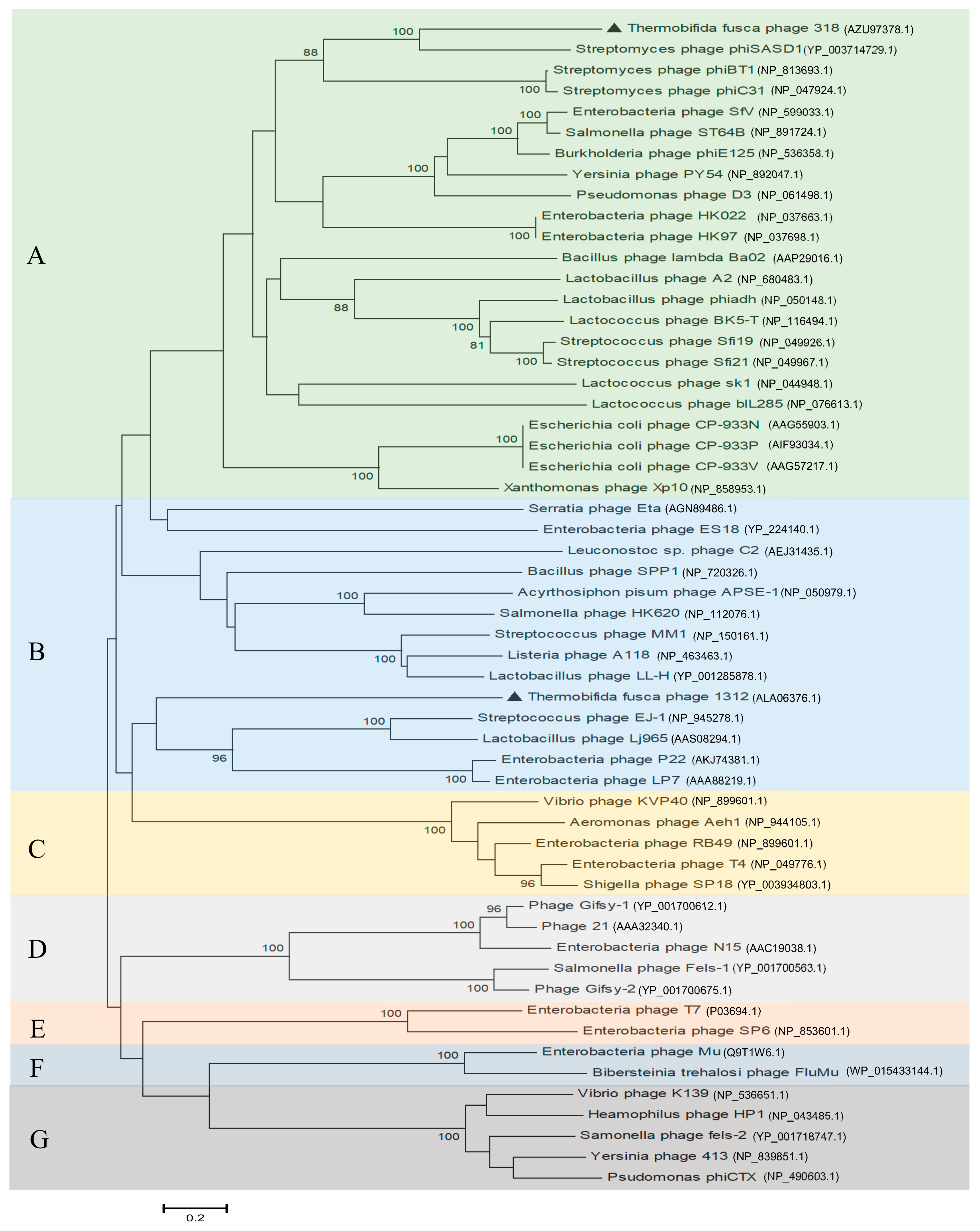 Viruses 11 01042 g003 Viruses 11 01042 g003