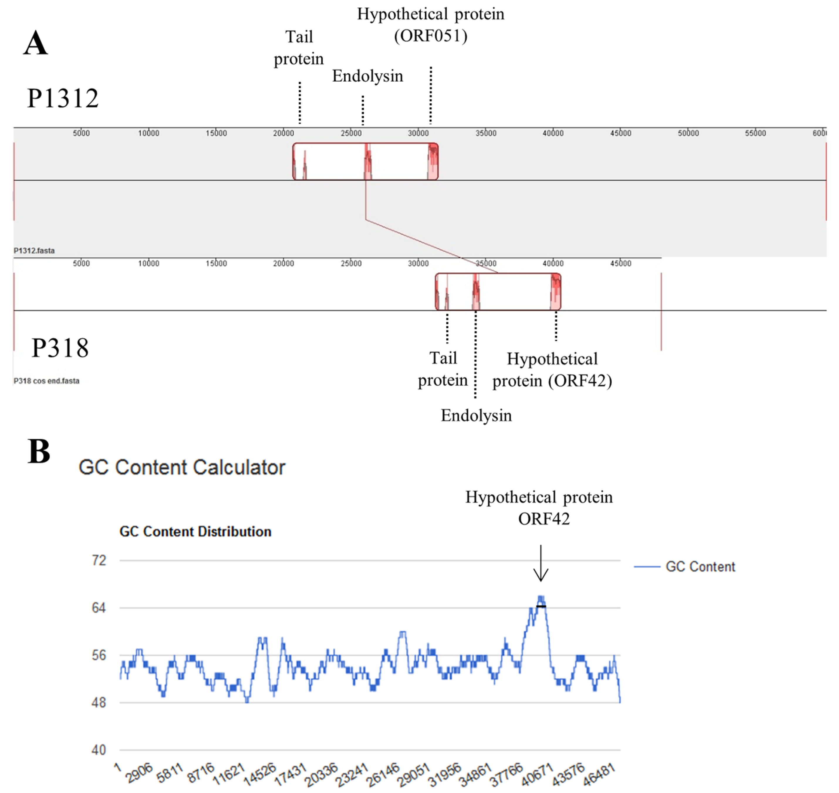 Viruses 11 01042 g006 Viruses 11 01042 g006