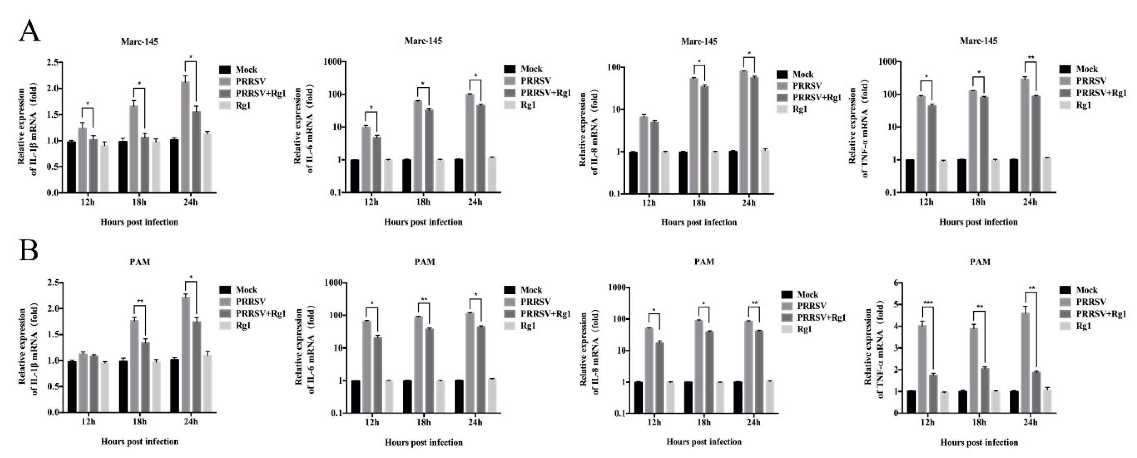 Viruses 11 01045 g004 Viruses 11 01045 g004
