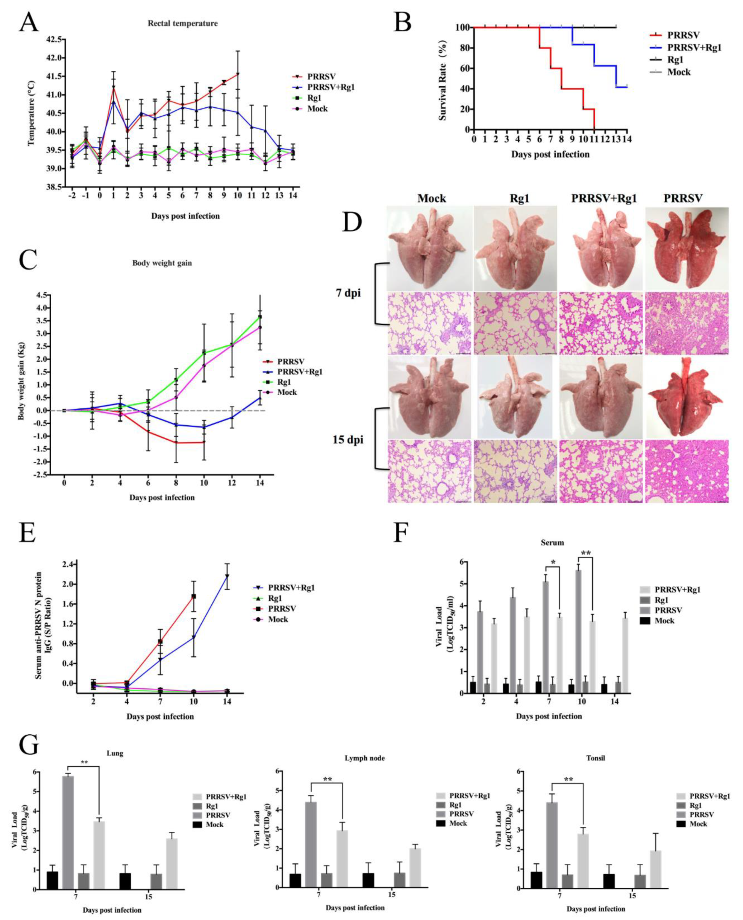 Viruses 11 01045 g006 Viruses 11 01045 g006