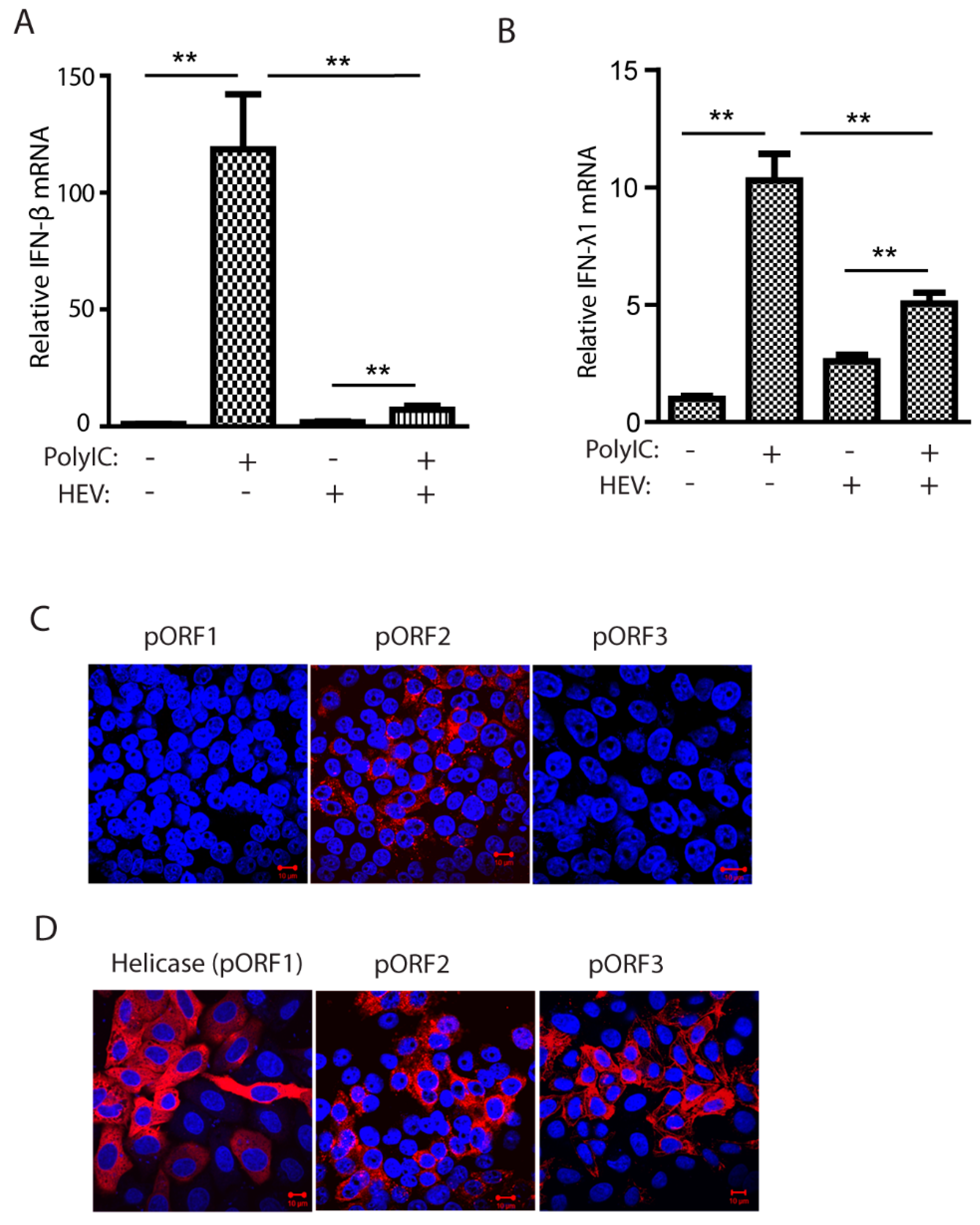 Viruses 11 01050 g001 Viruses 11 01050 g001