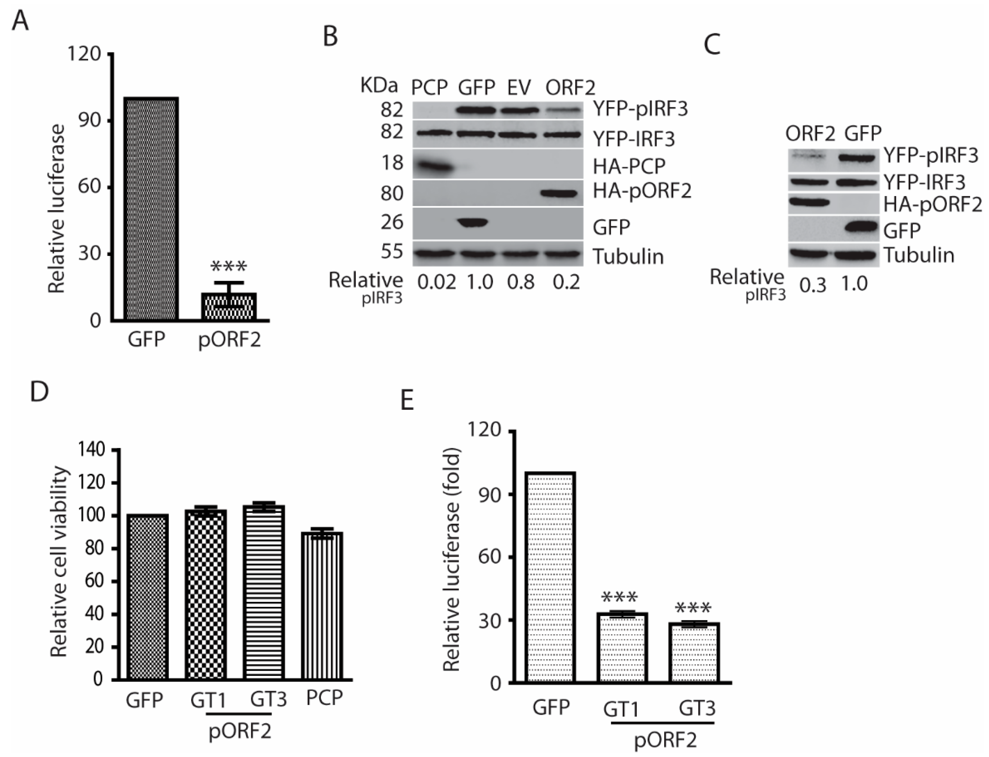 Viruses 11 01050 g002 Viruses 11 01050 g002