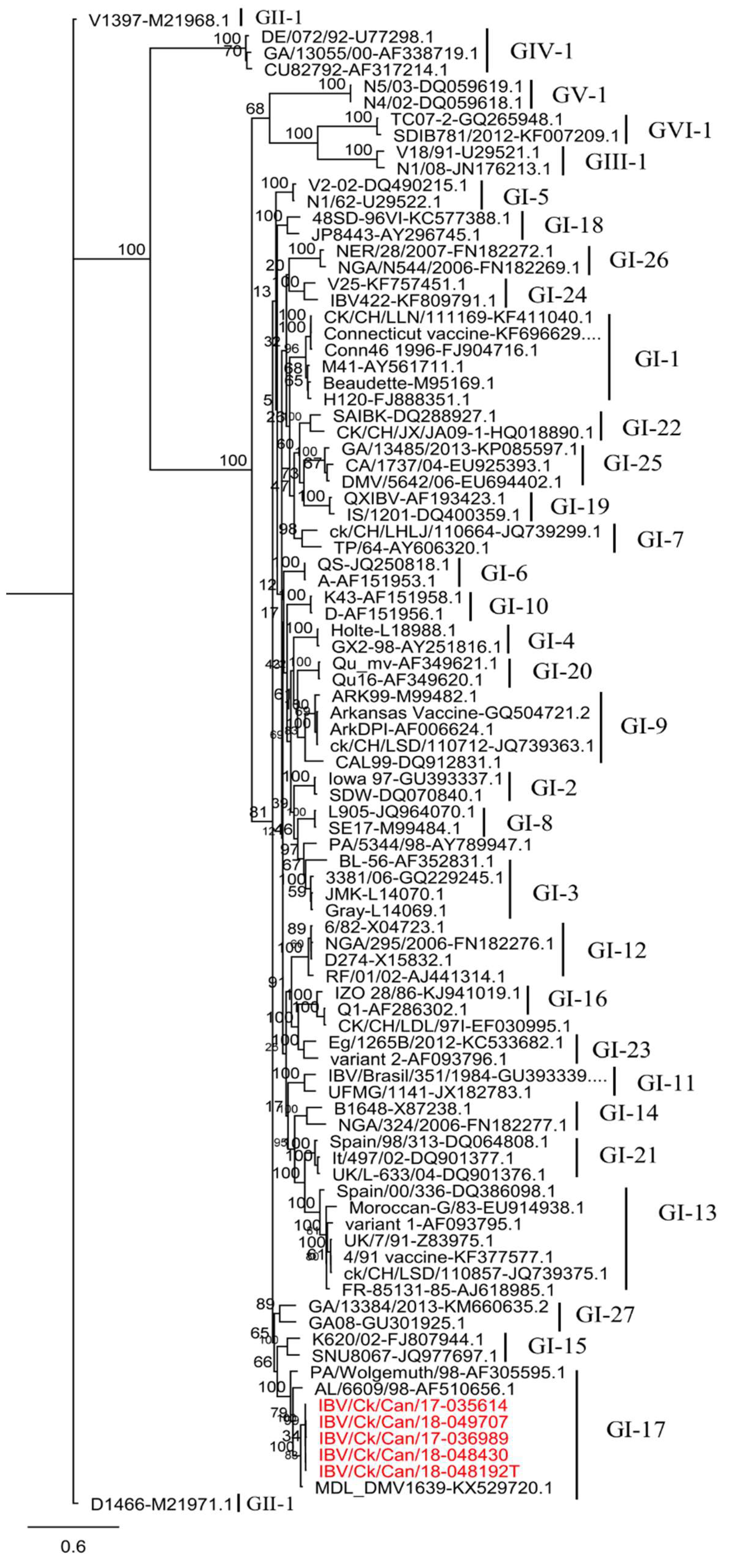Viruses 11 01054 g001