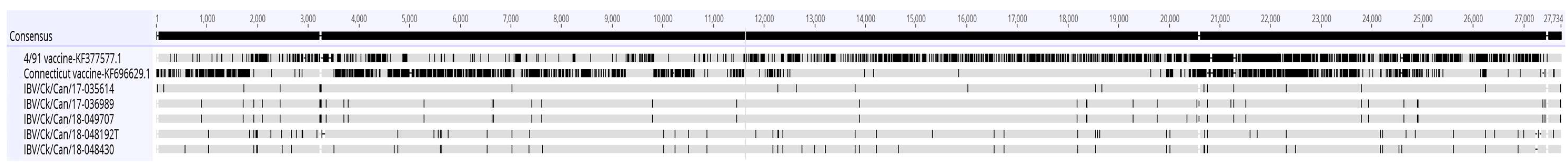 Viruses 11 01054 g003