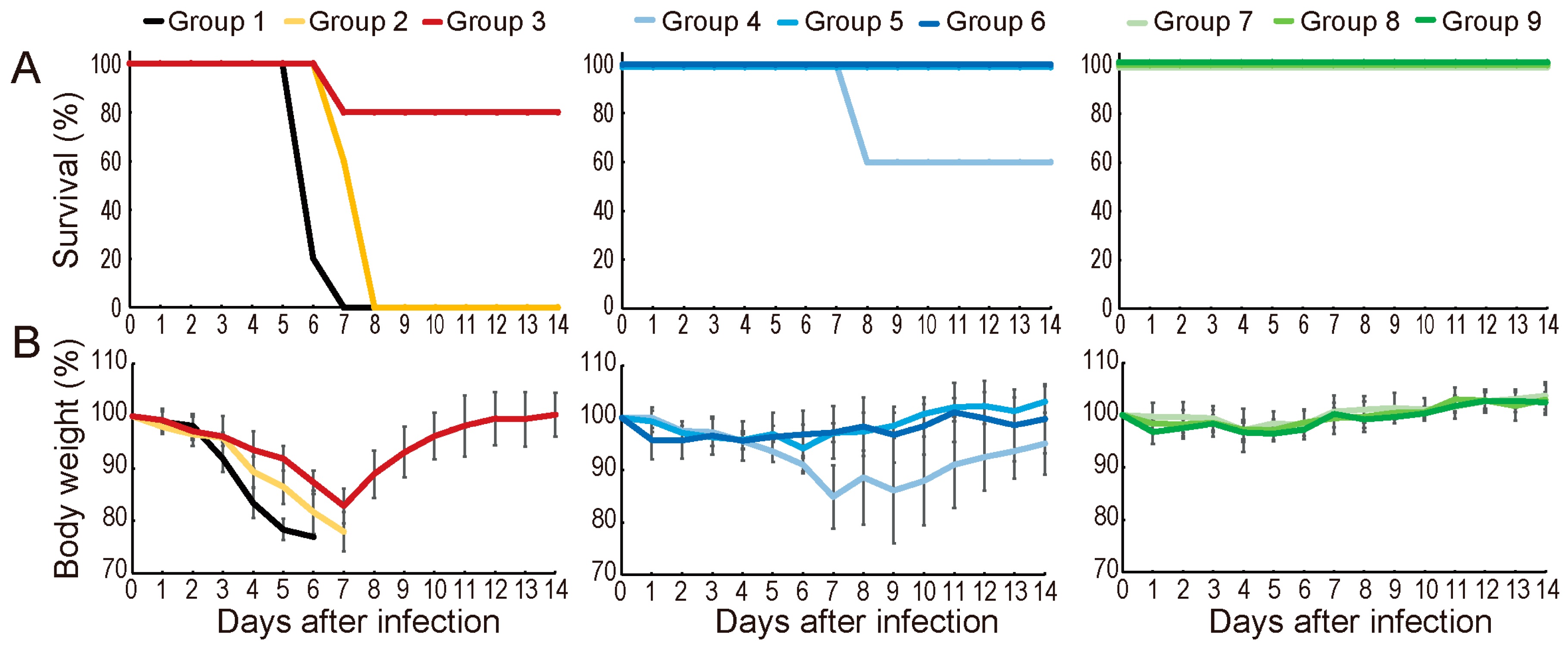 Viruses 11 01066 g002 550