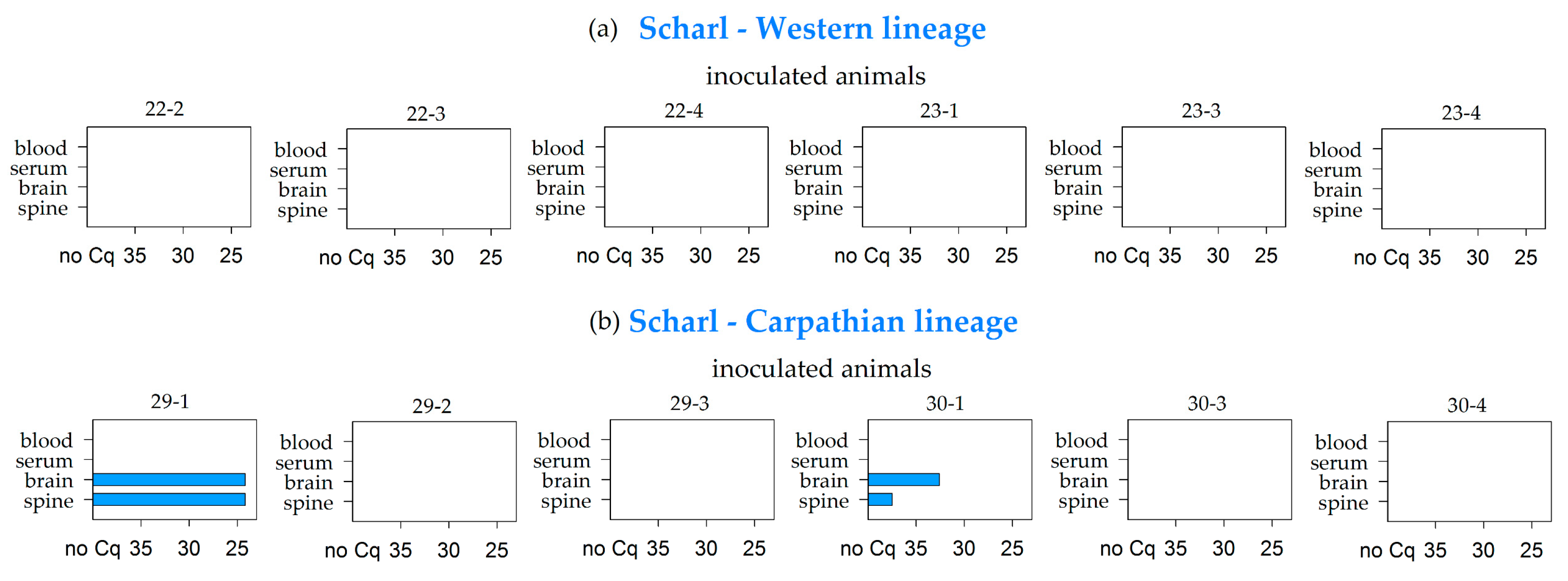 Viruses 11 01069 g002