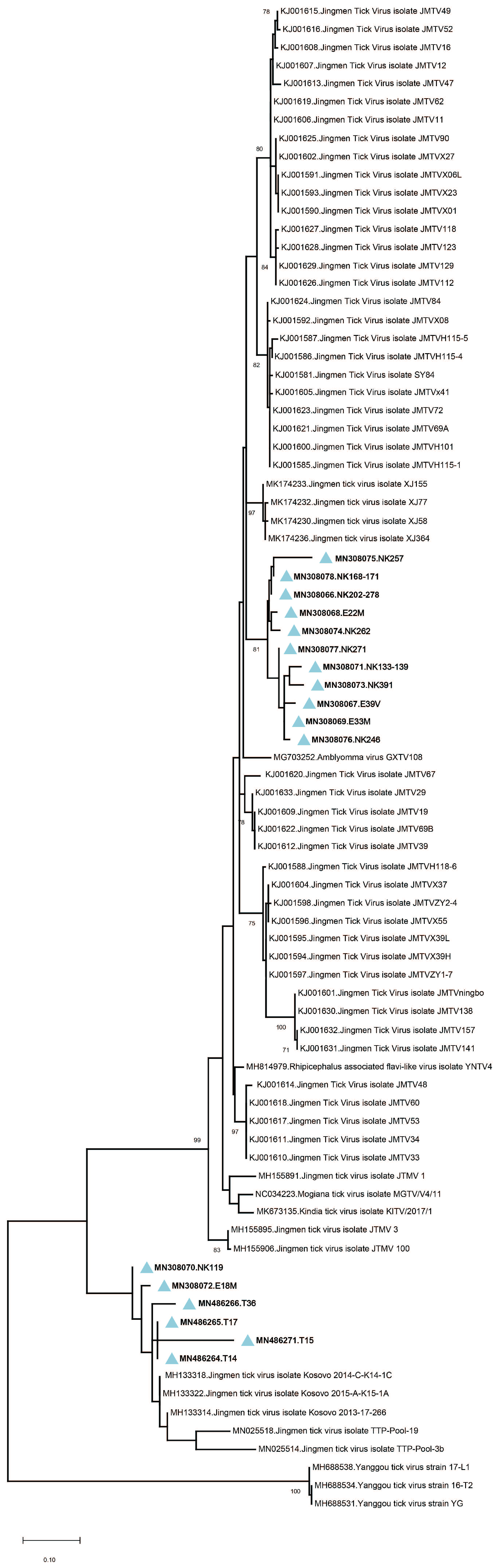 Viruses 11 01071 g002