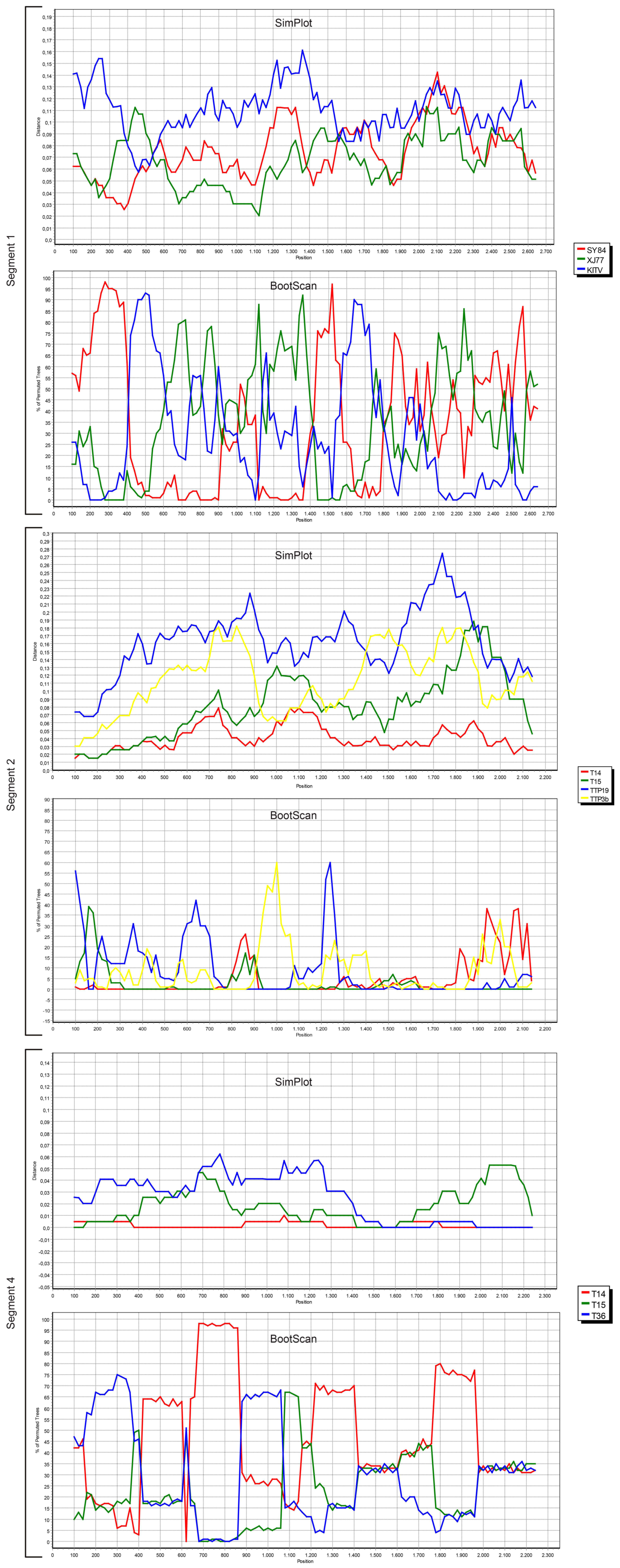 Viruses 11 01071 g004