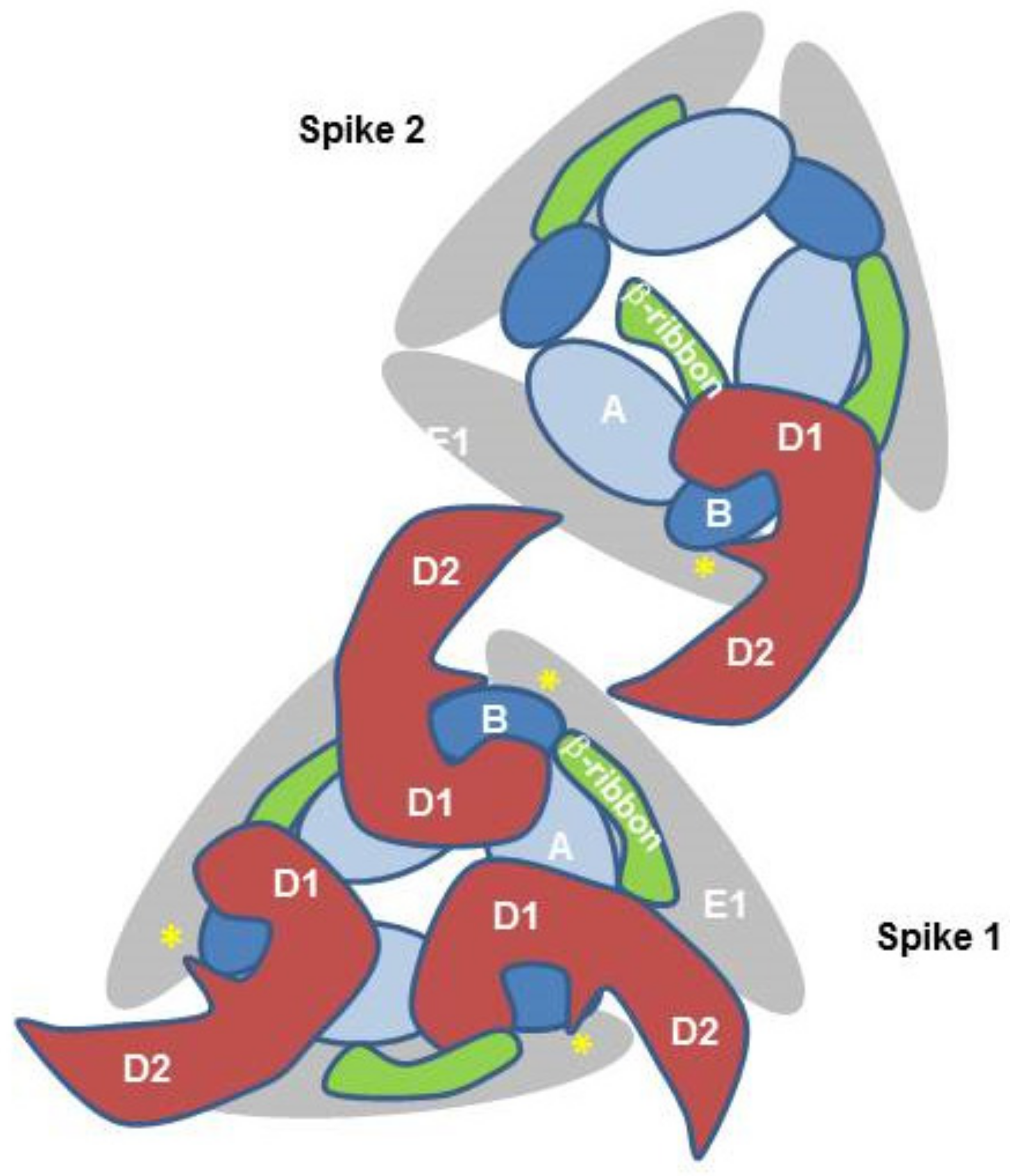 Cellular Attachment and Entry Factors for Chikungunya Virus