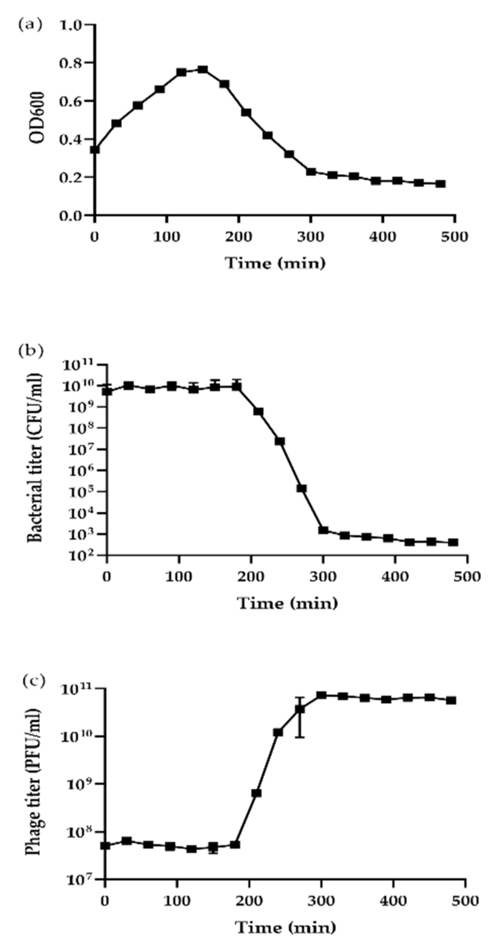 Viruses 11 01081 g002