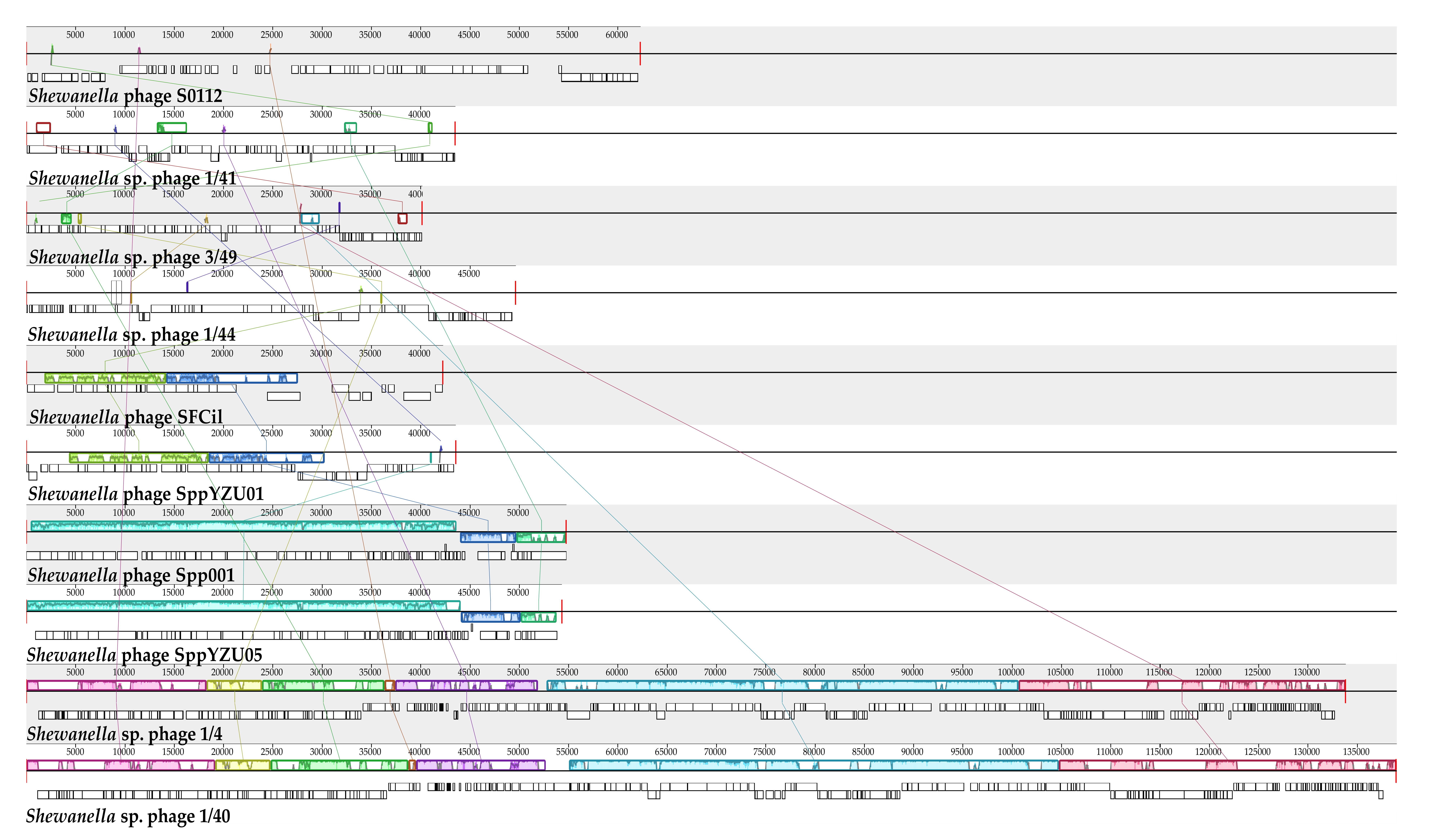 Viruses 11 01081 g005