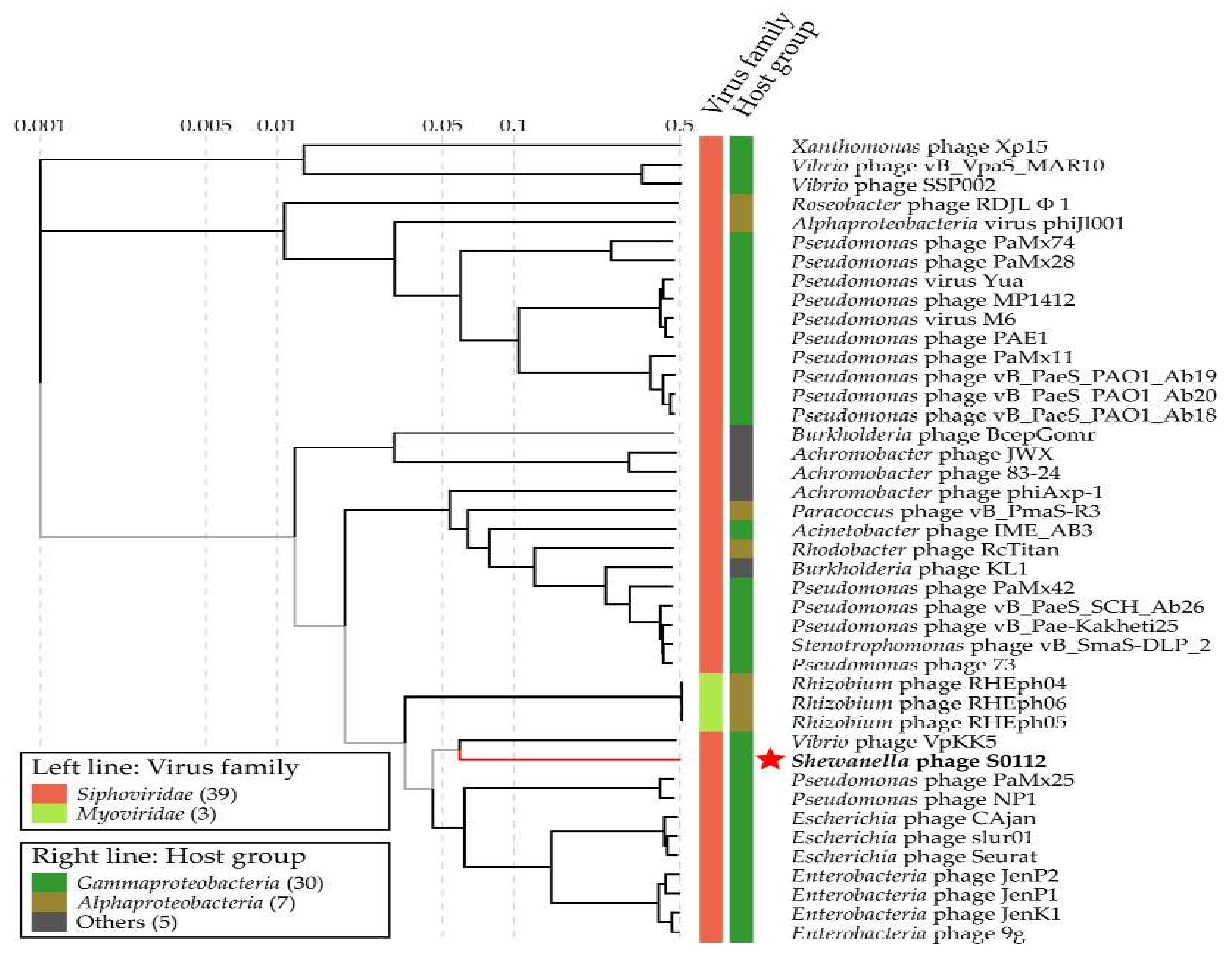 Viruses 11 01081 g008