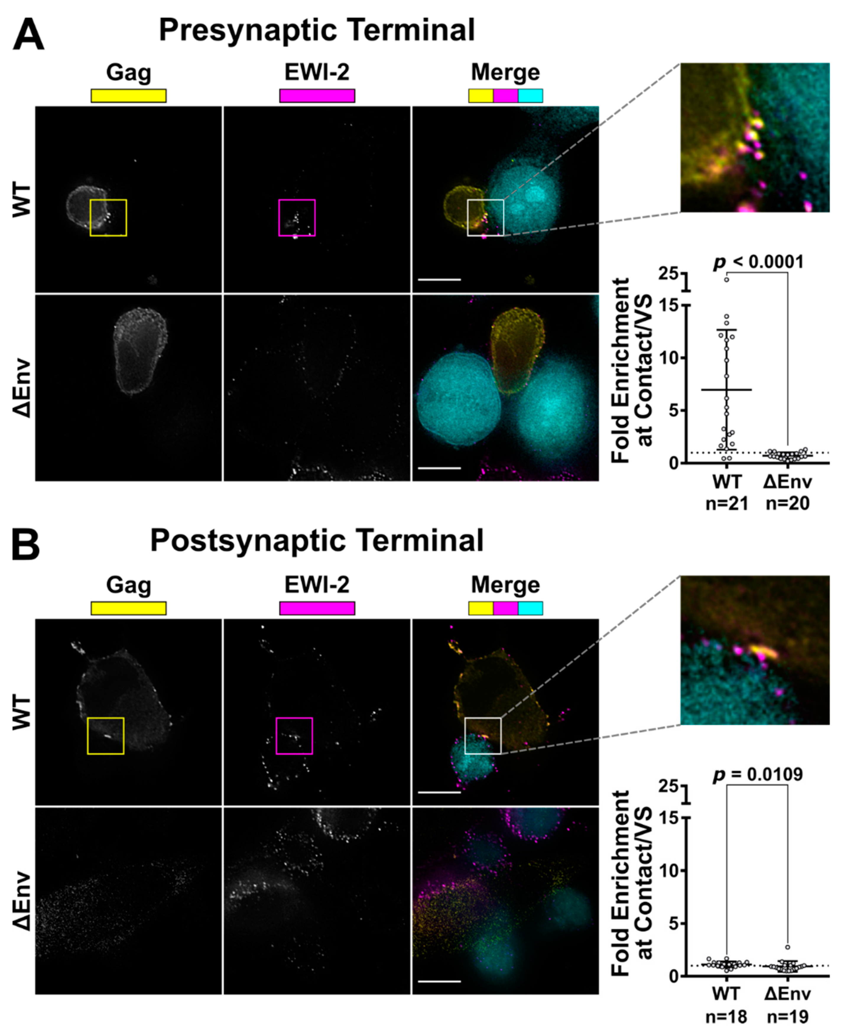 Viruses 11 01082 g002