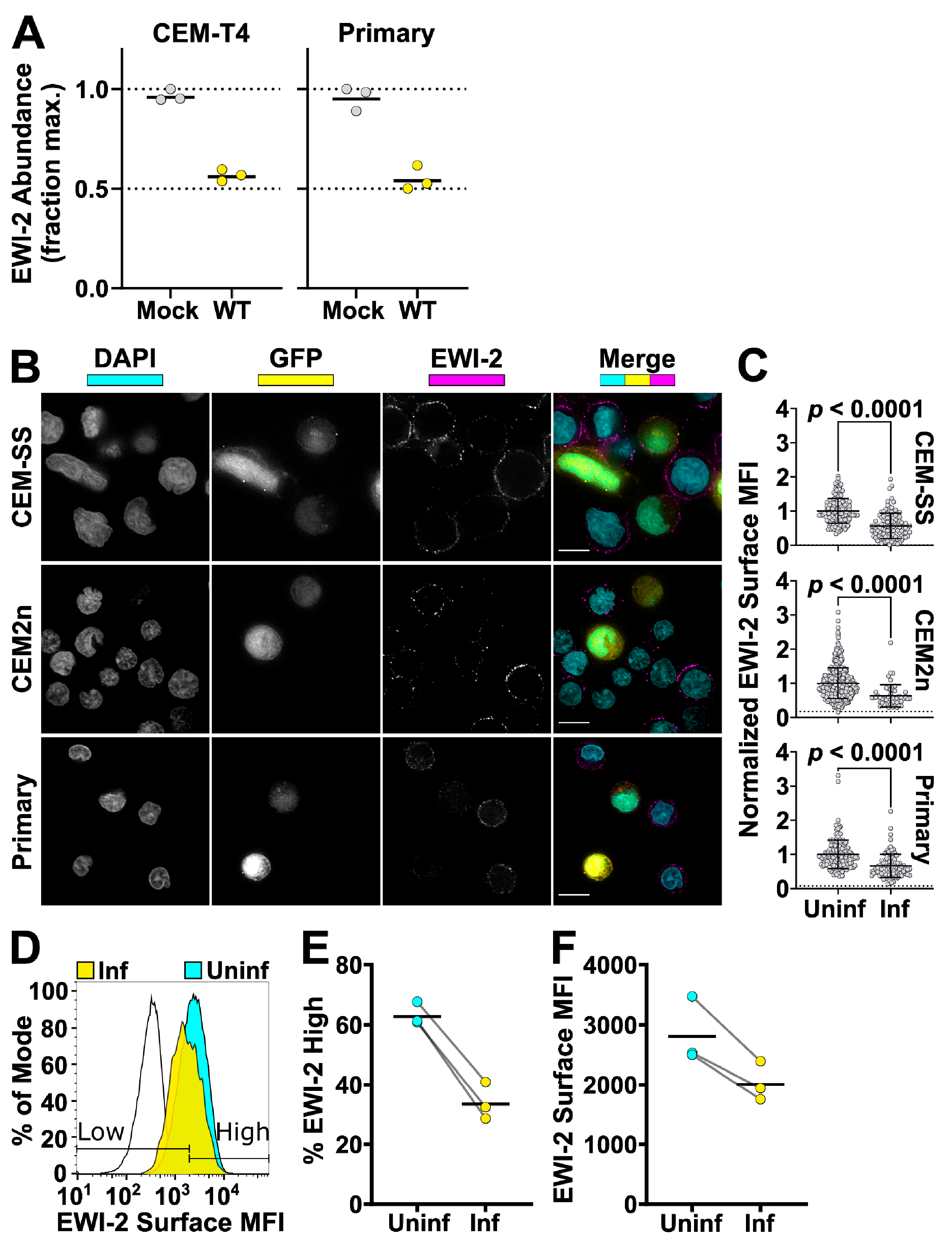 Viruses 11 01082 g003