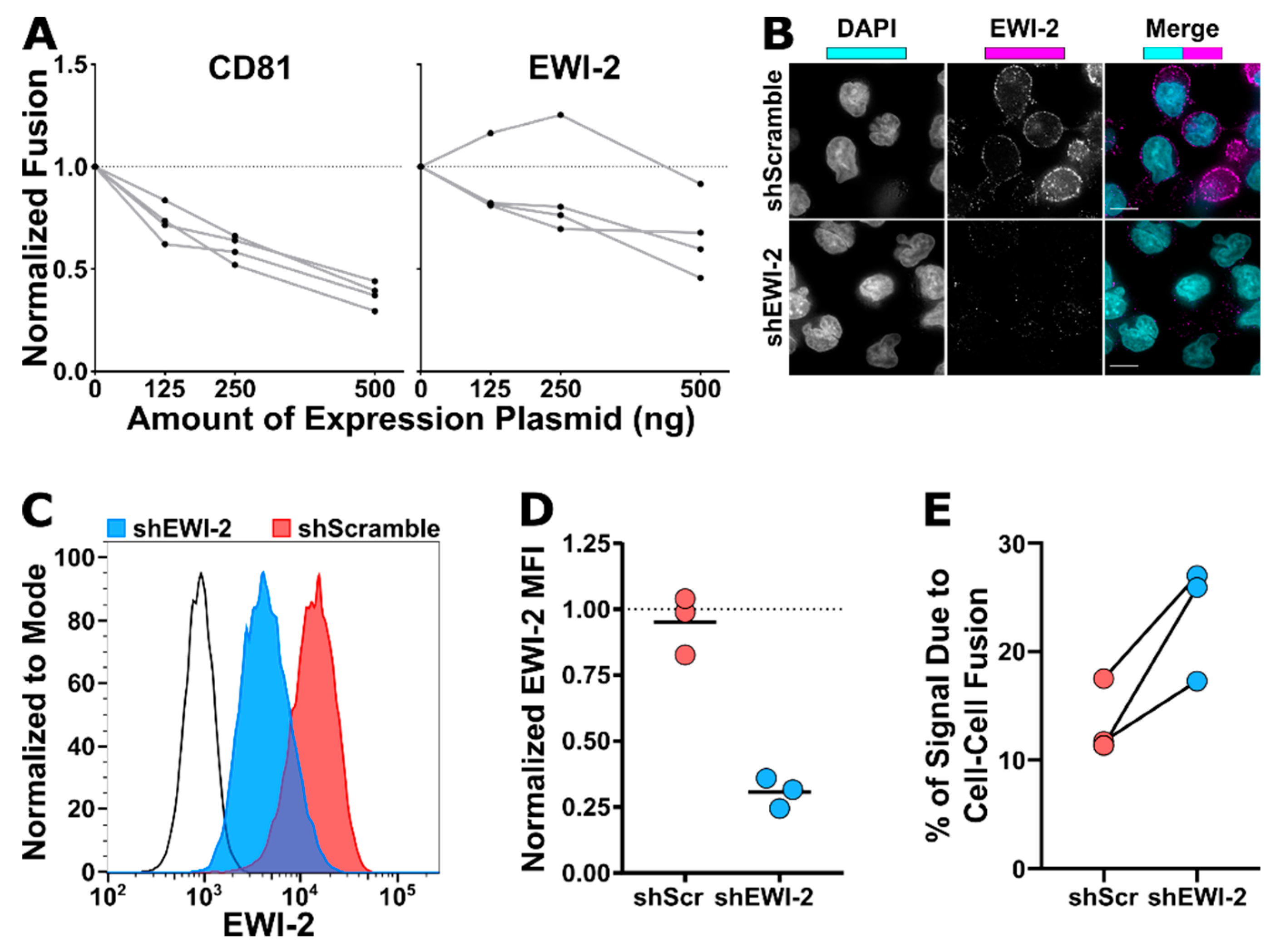 Viruses 11 01082 g005