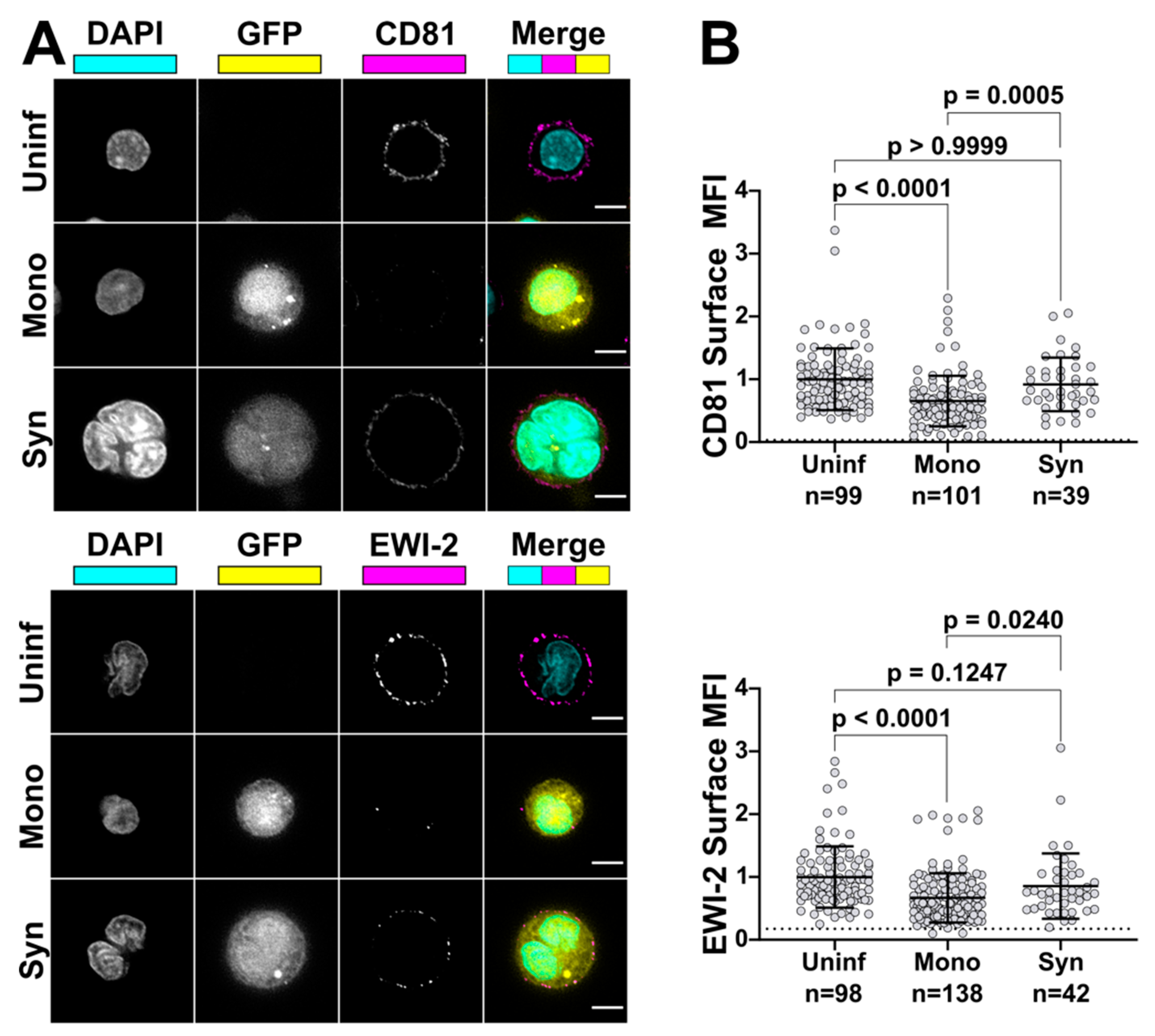 Viruses 11 01082 g006