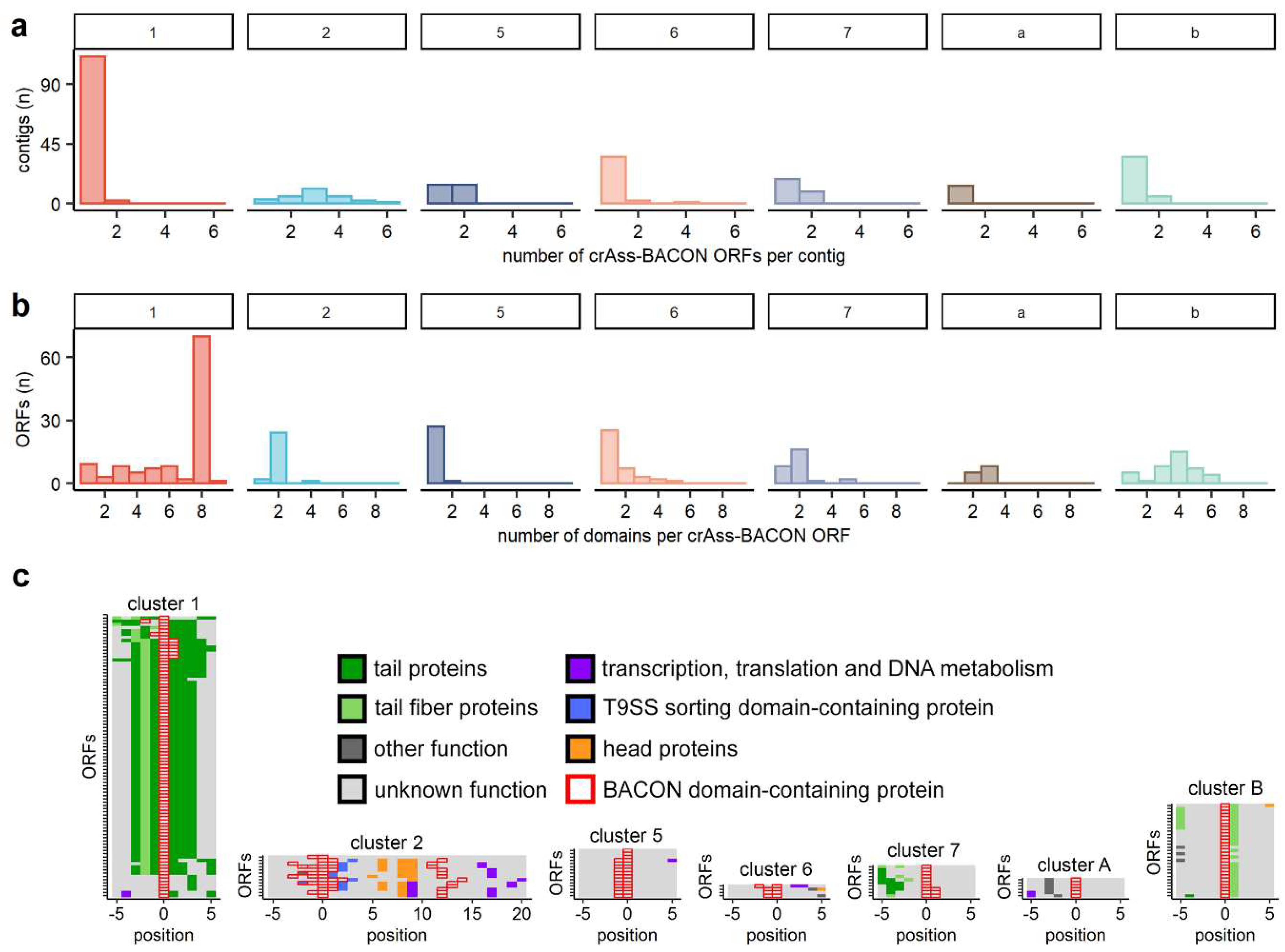 Viruses 11 01085 g003