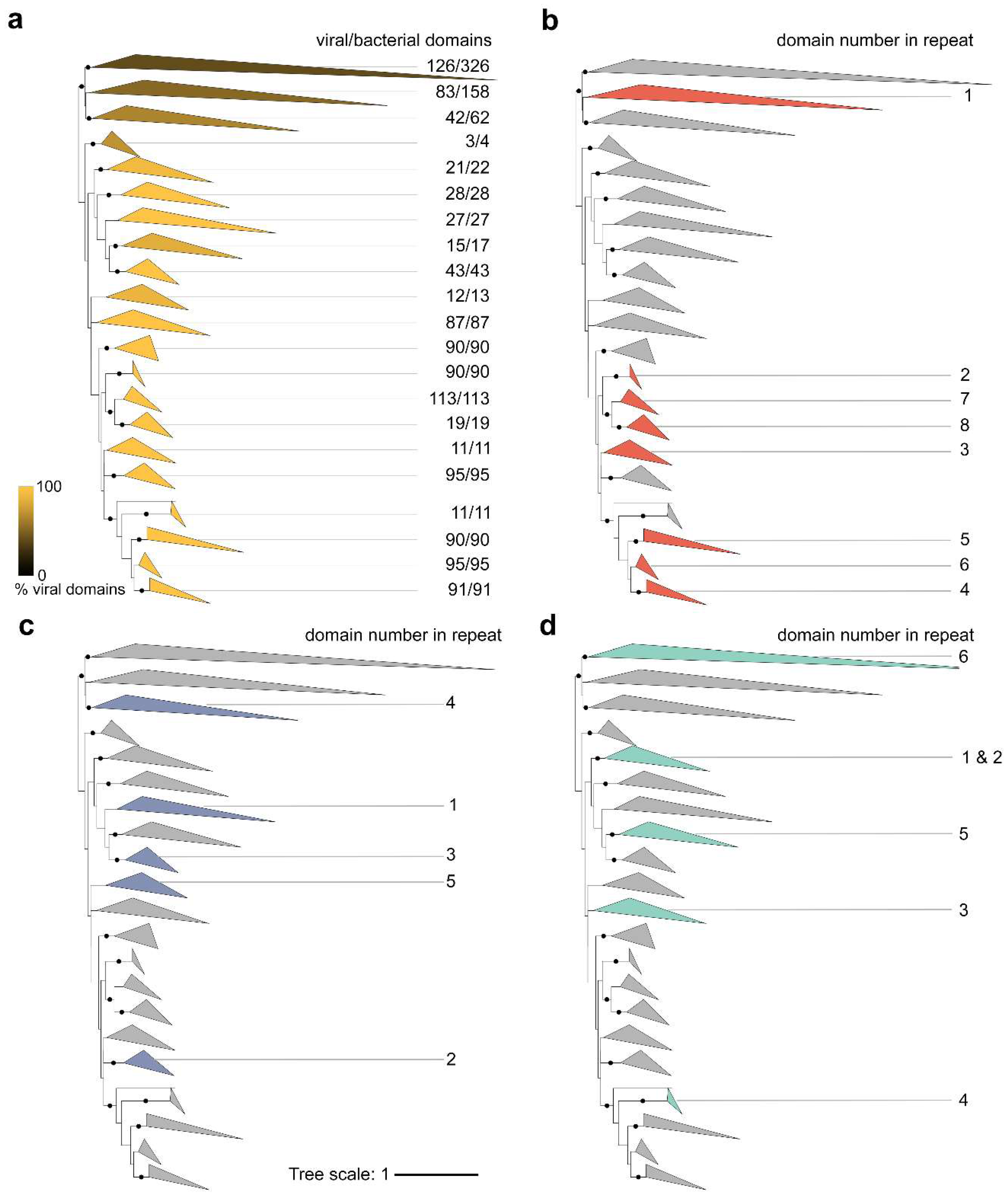 Viruses 11 01085 g005