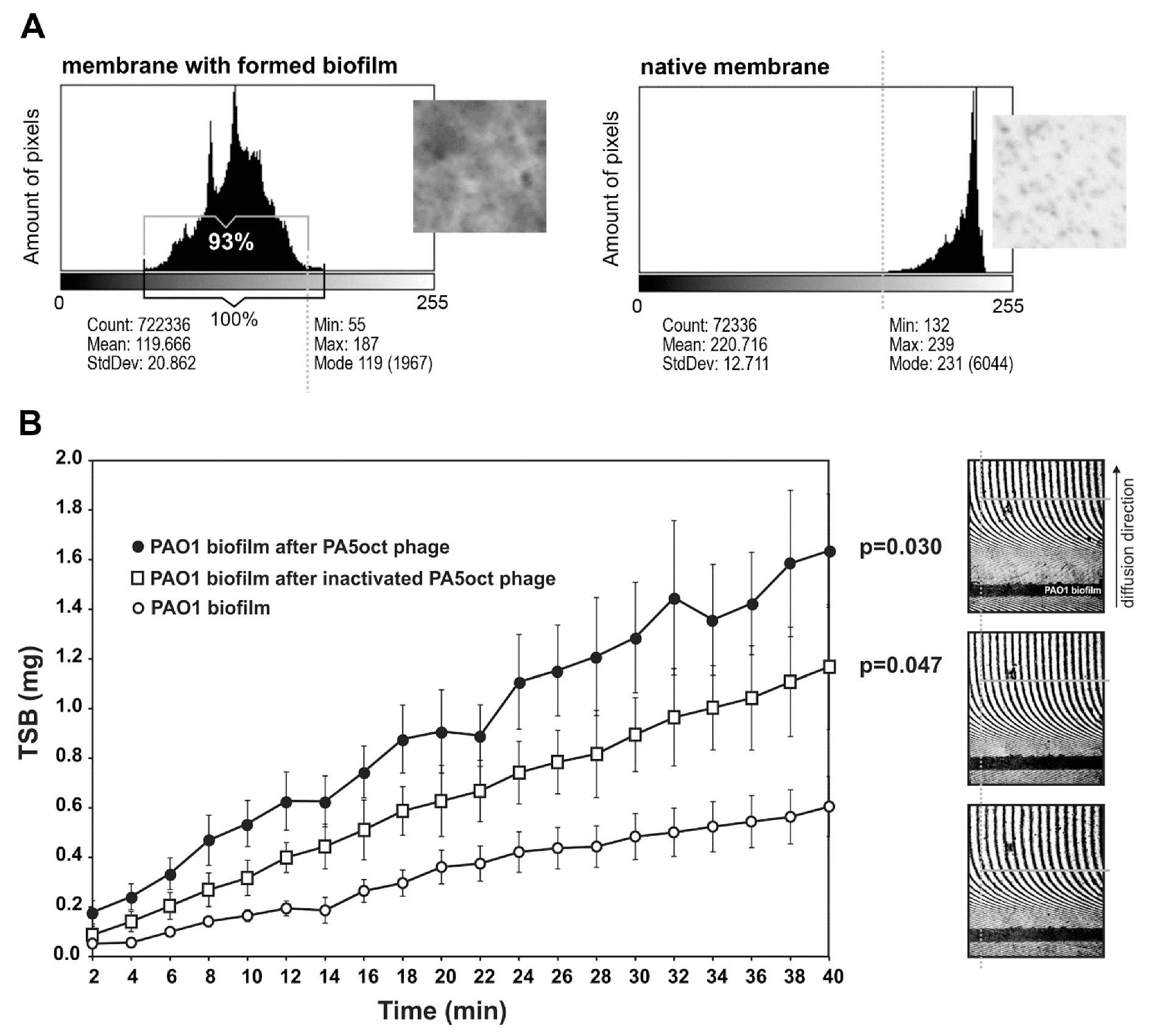 Viruses 11 01089 g002 Viruses 11 01089 g002