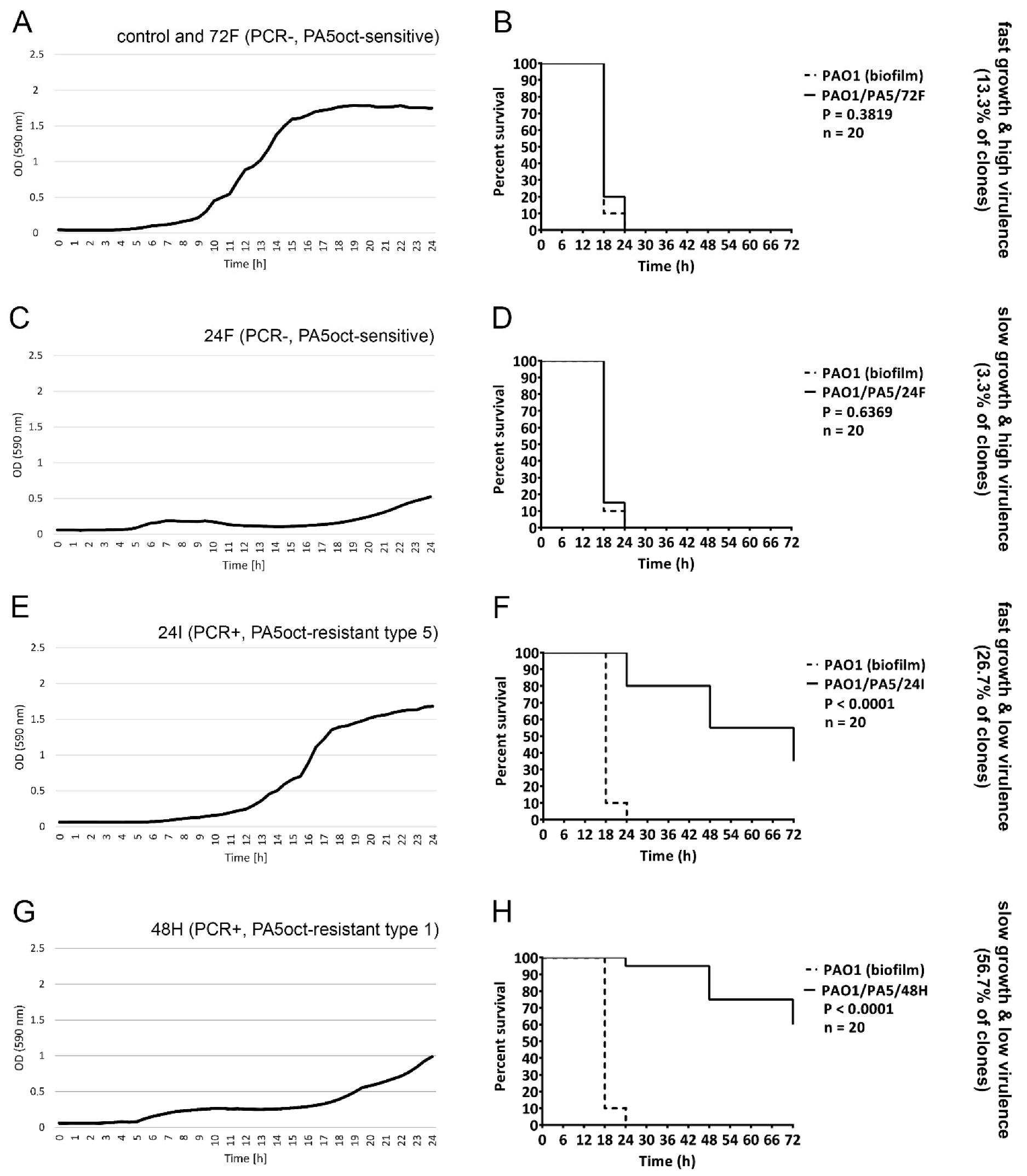 Viruses 11 01089 g004 Viruses 11 01089 g004