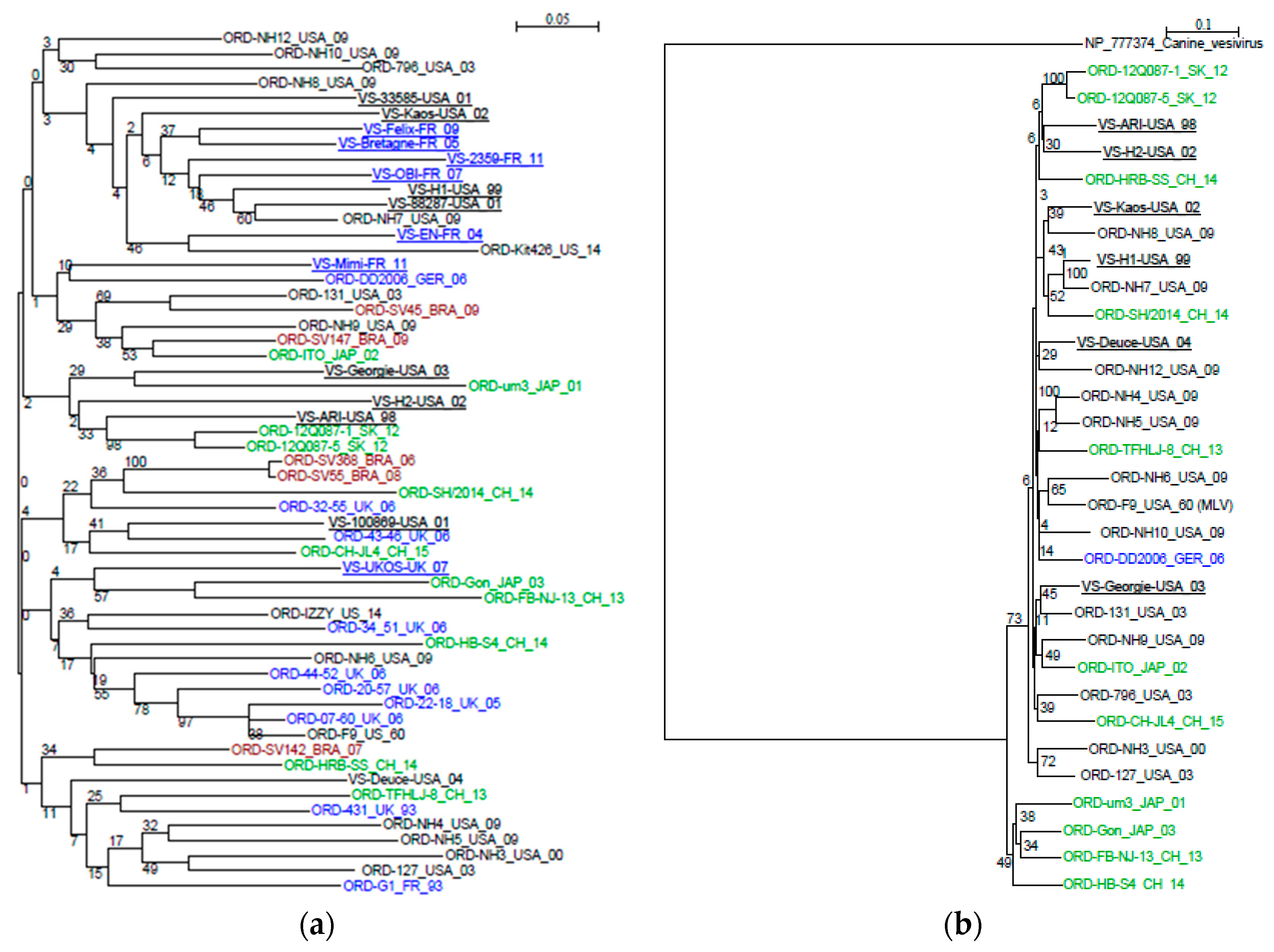 Viruses 11 01090 g002