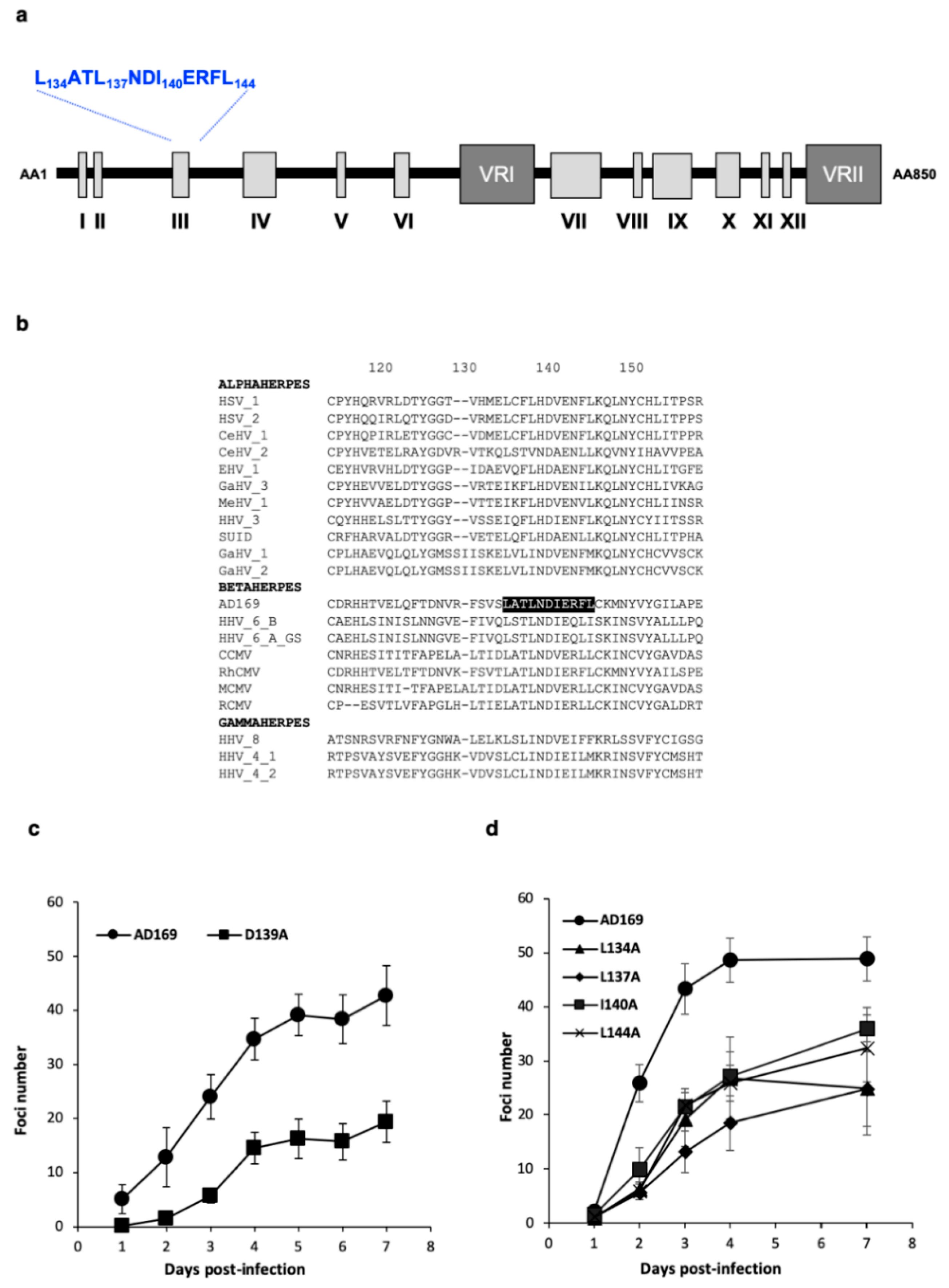 Viruses 11 01093 g001 Viruses 11 01093 g001