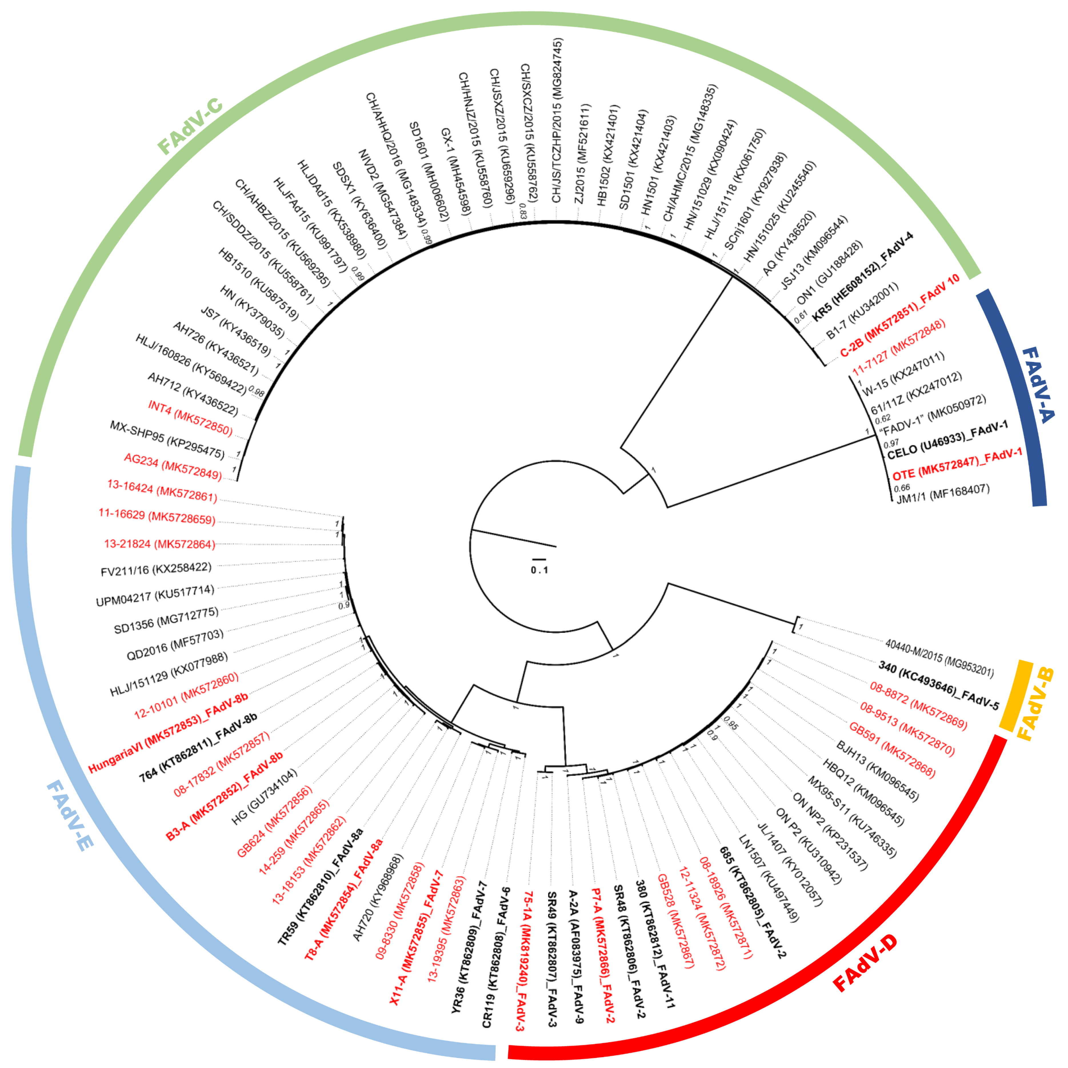 Viruses 11 01094 g001