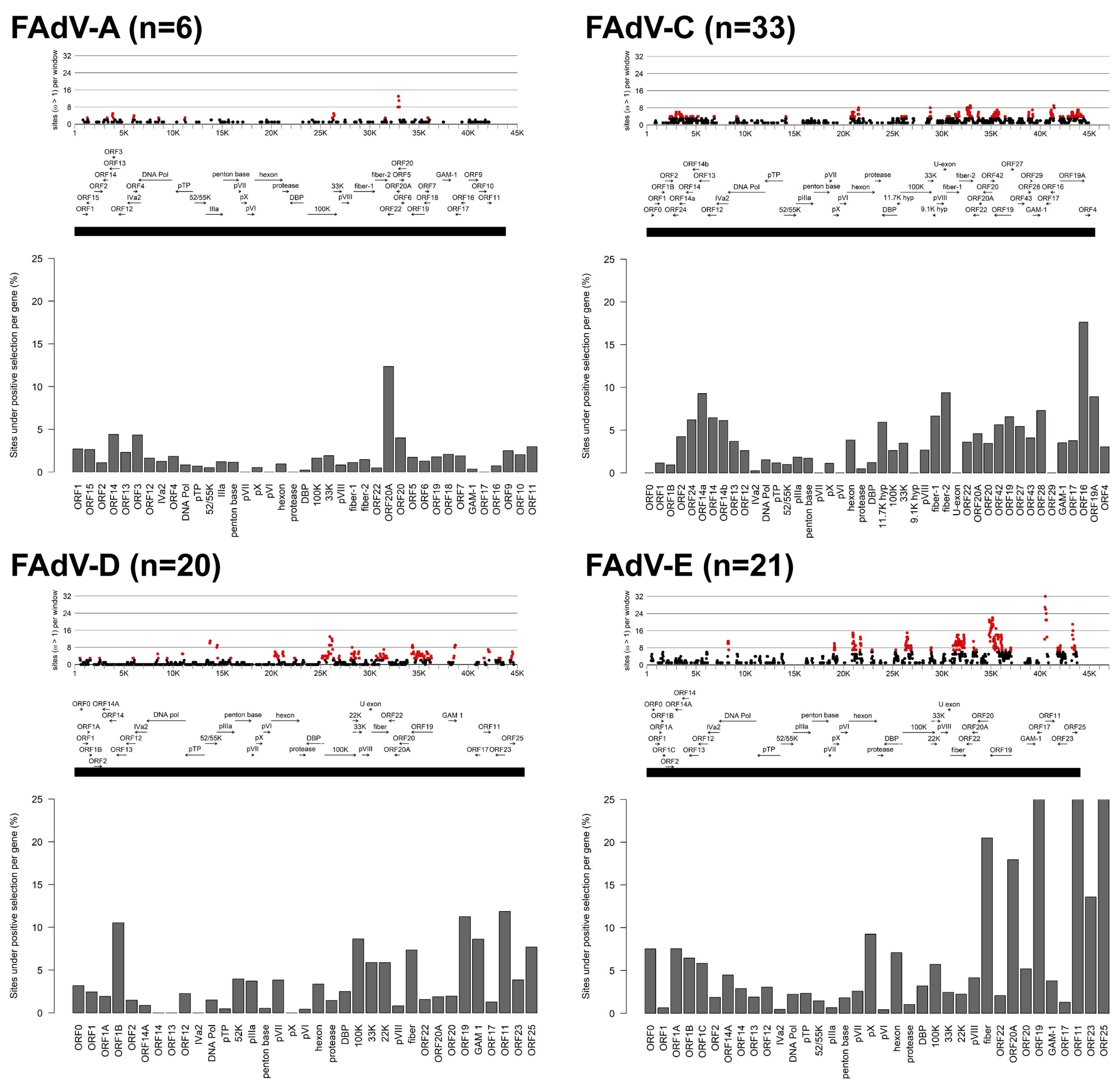 Viruses 11 01094 g002