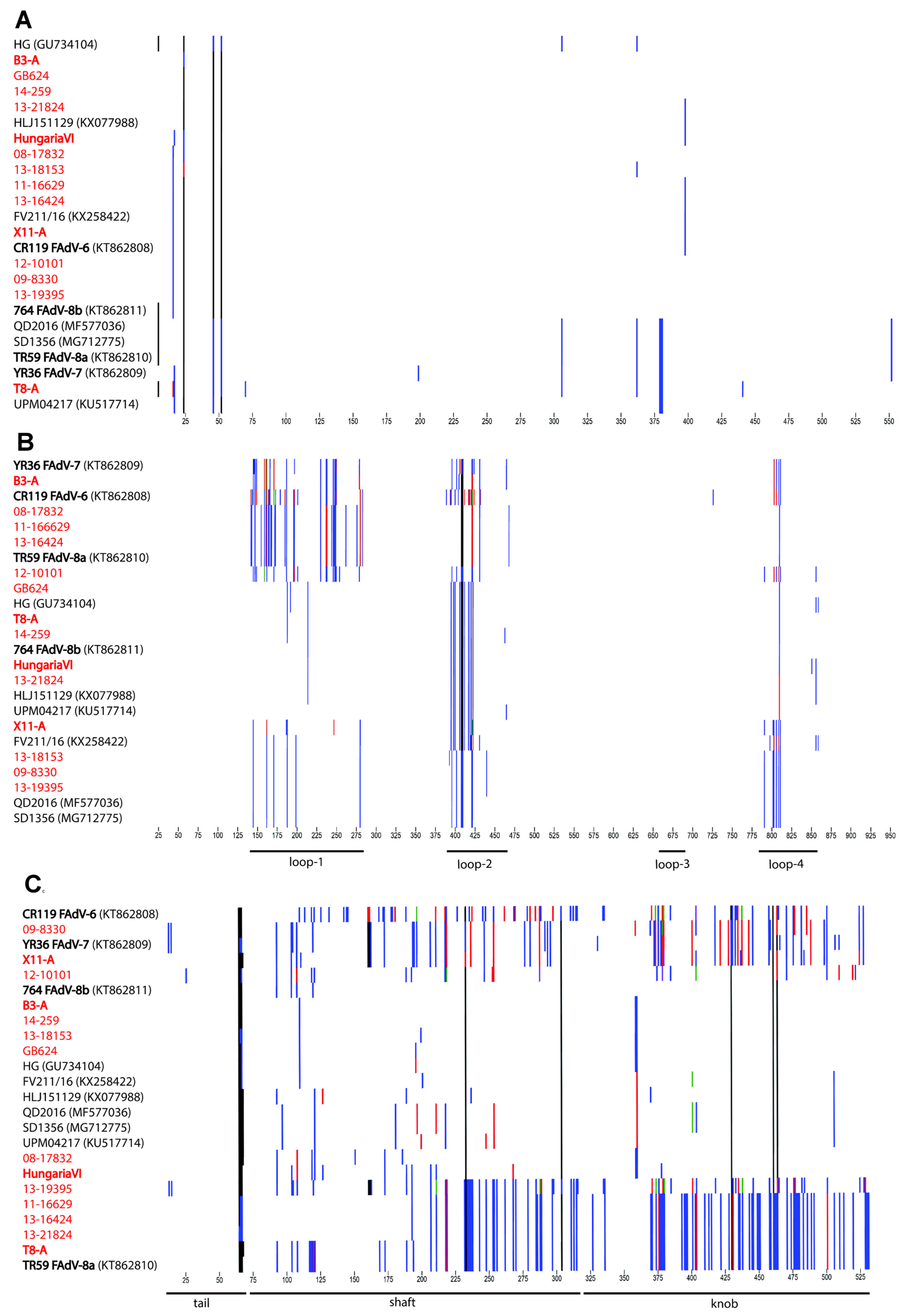 Viruses 11 01094 g004