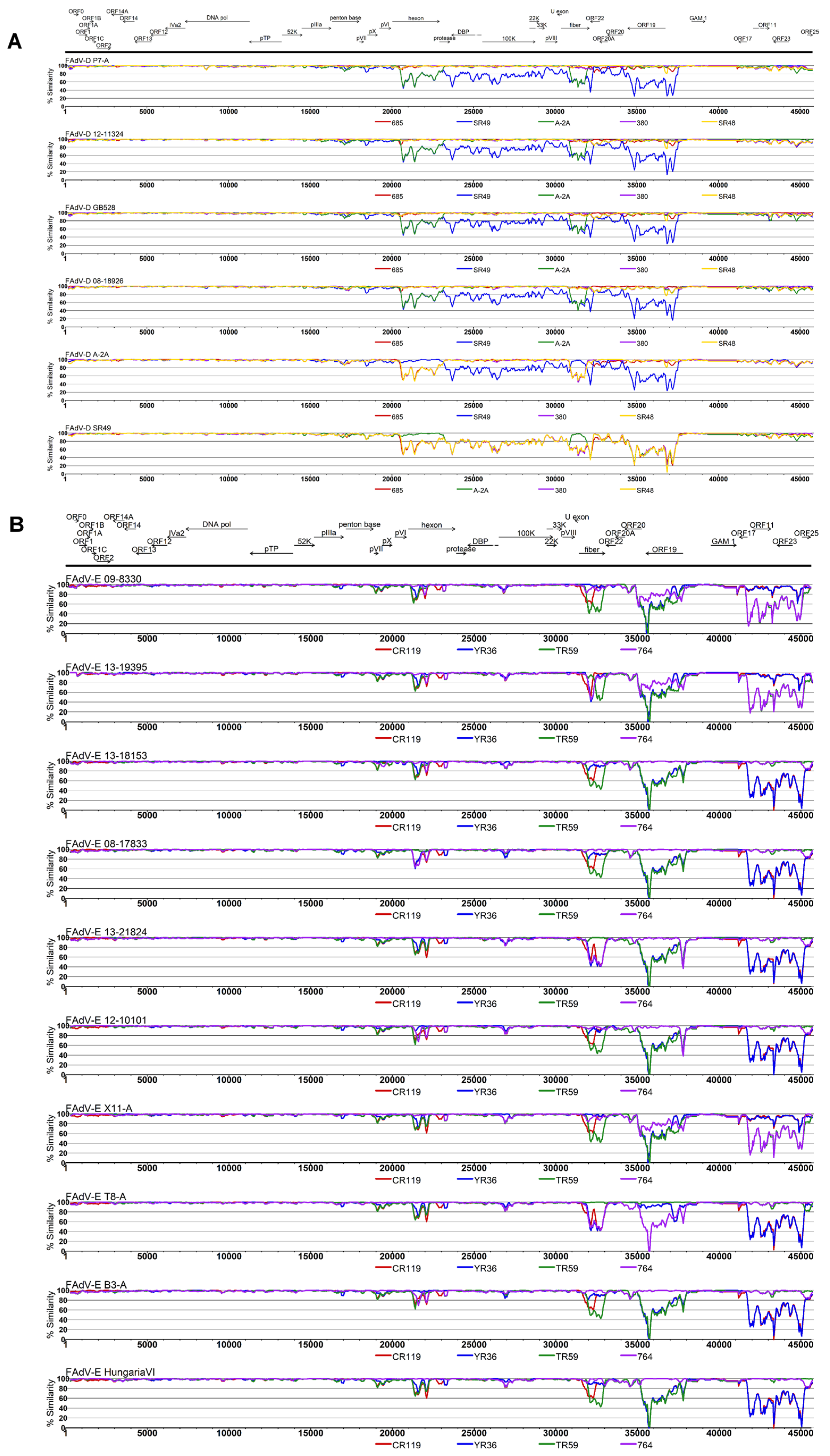 Viruses 11 01094 g005