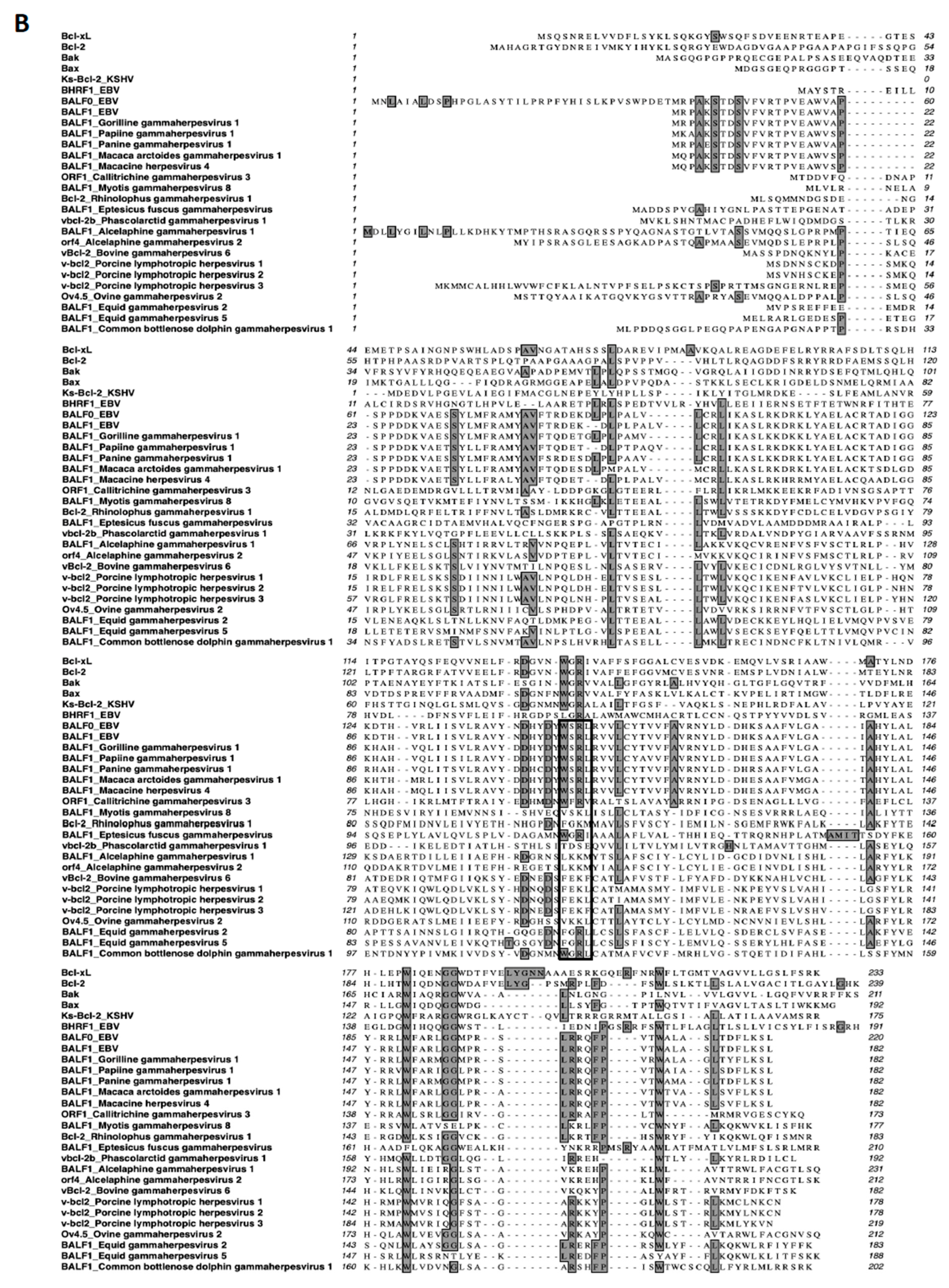 Viruses 11 01099 g001b Viruses 11 01099 g001b