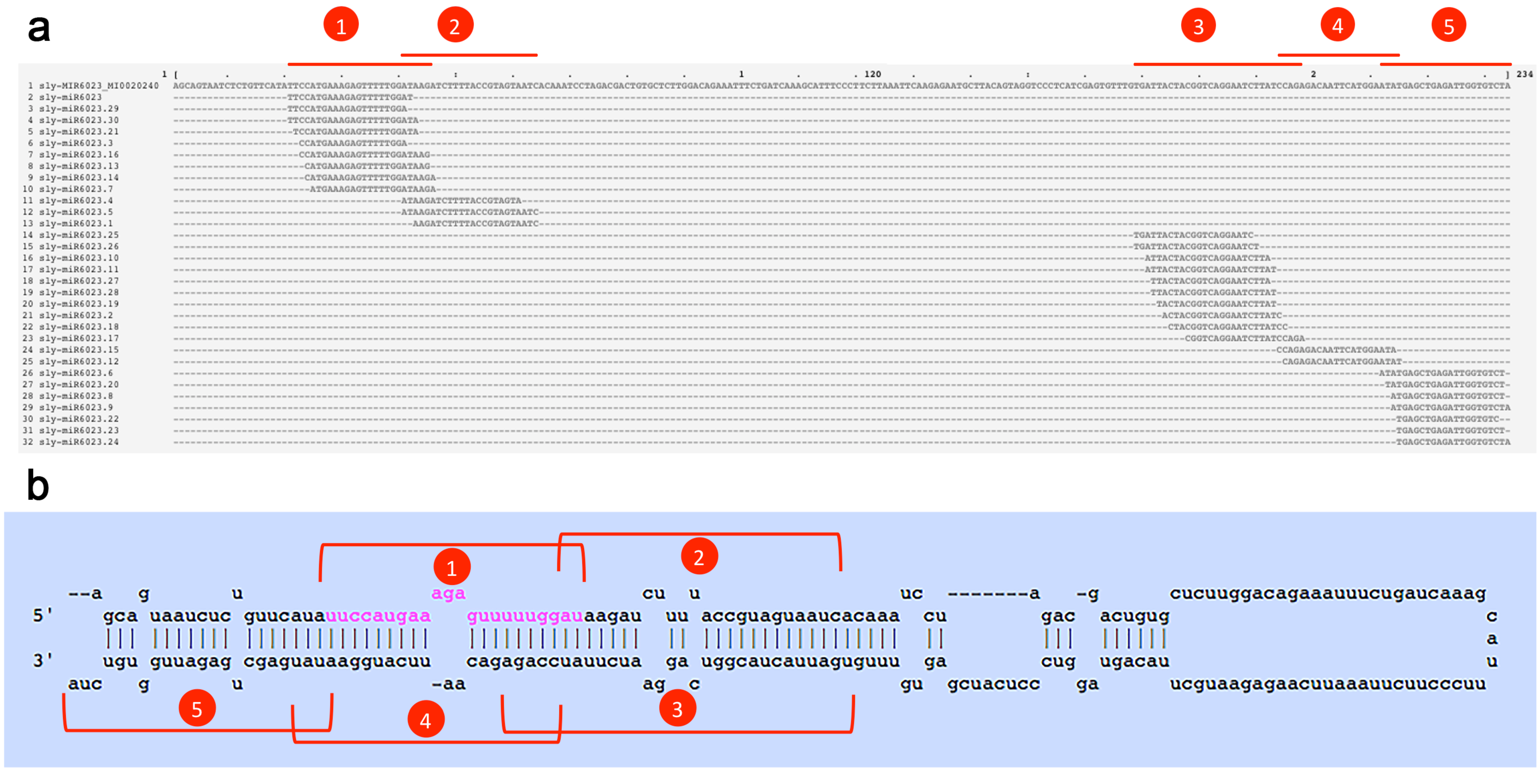 Viruses 11 01100 g001