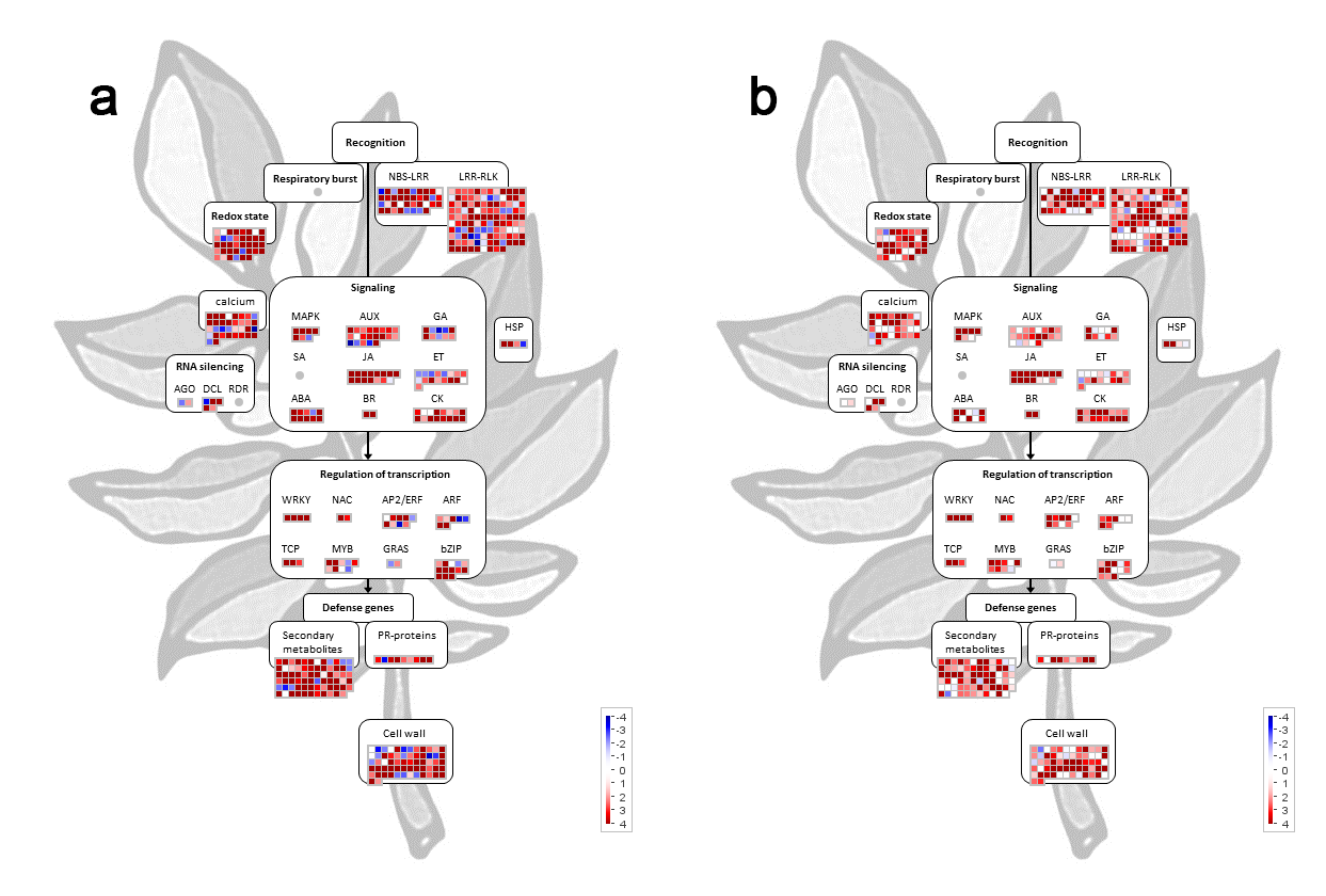 Viruses 11 01100 g004