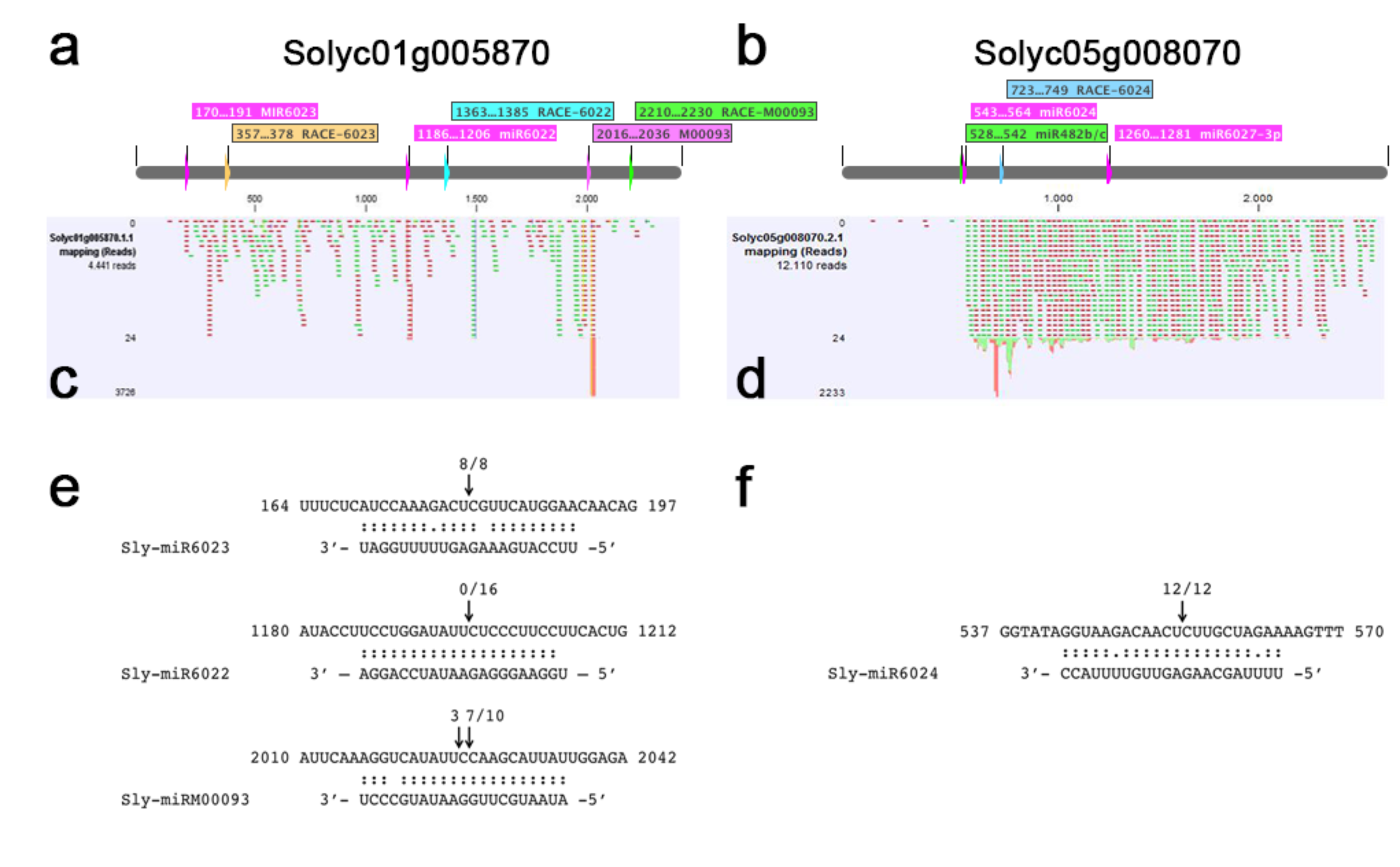Viruses 11 01100 g005