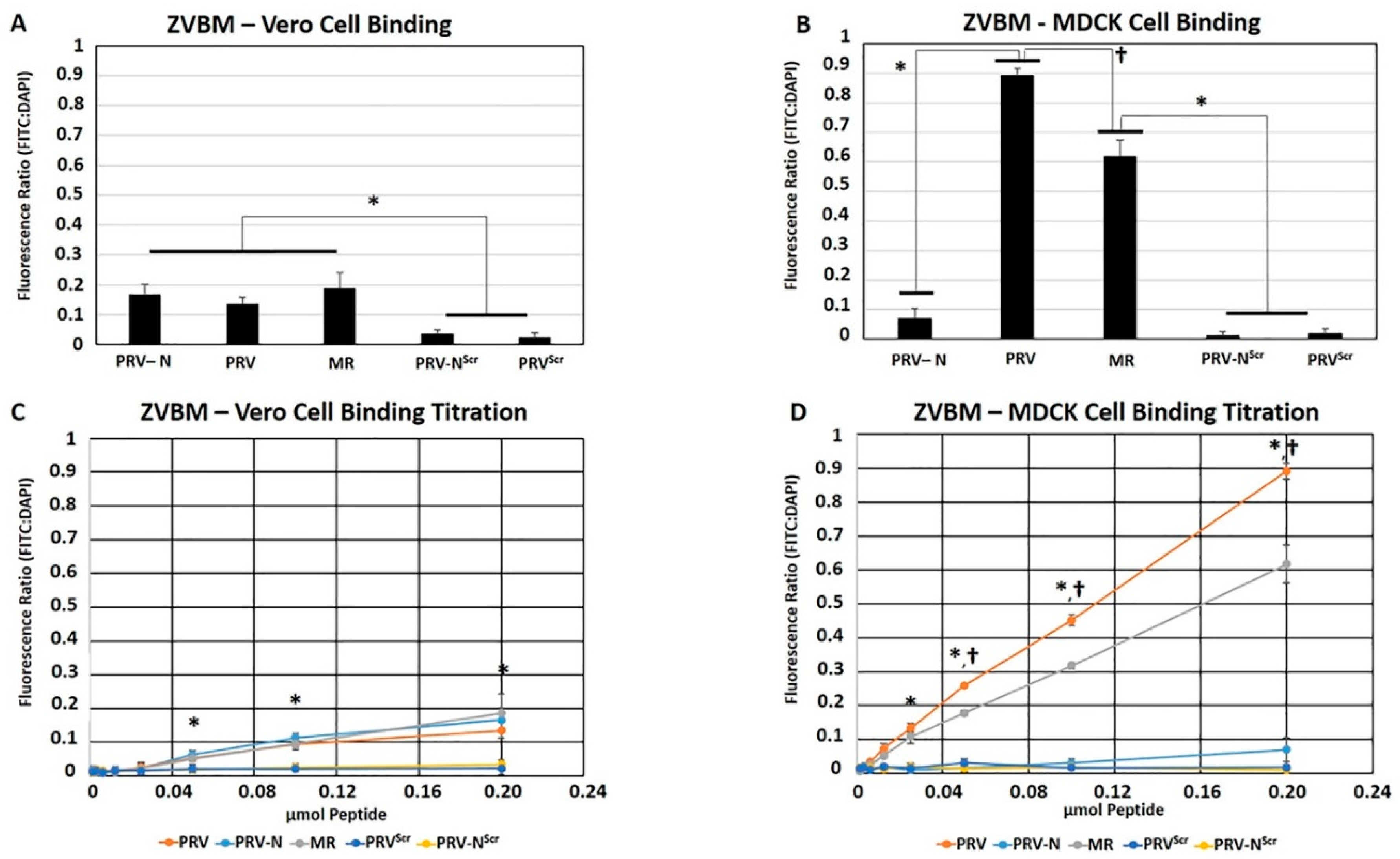 Viruses 11 01101 g002