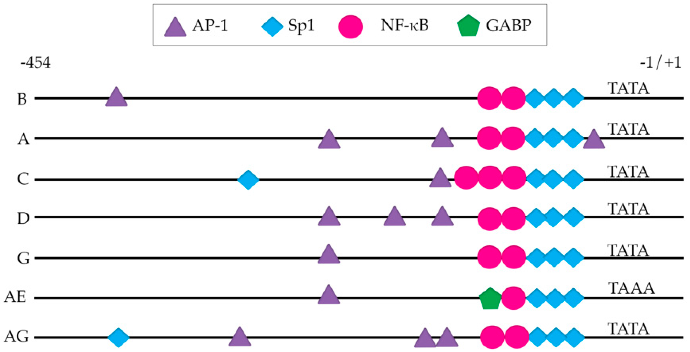 Viruses 11 01104 g002 Viruses 11 01104 g002