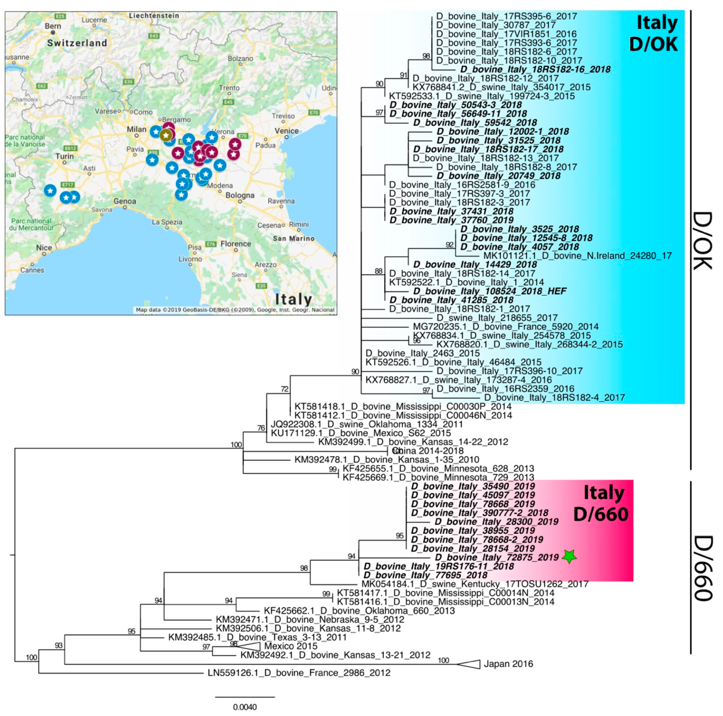 Viruses 11 01110 g001 Viruses 11 01110 g001