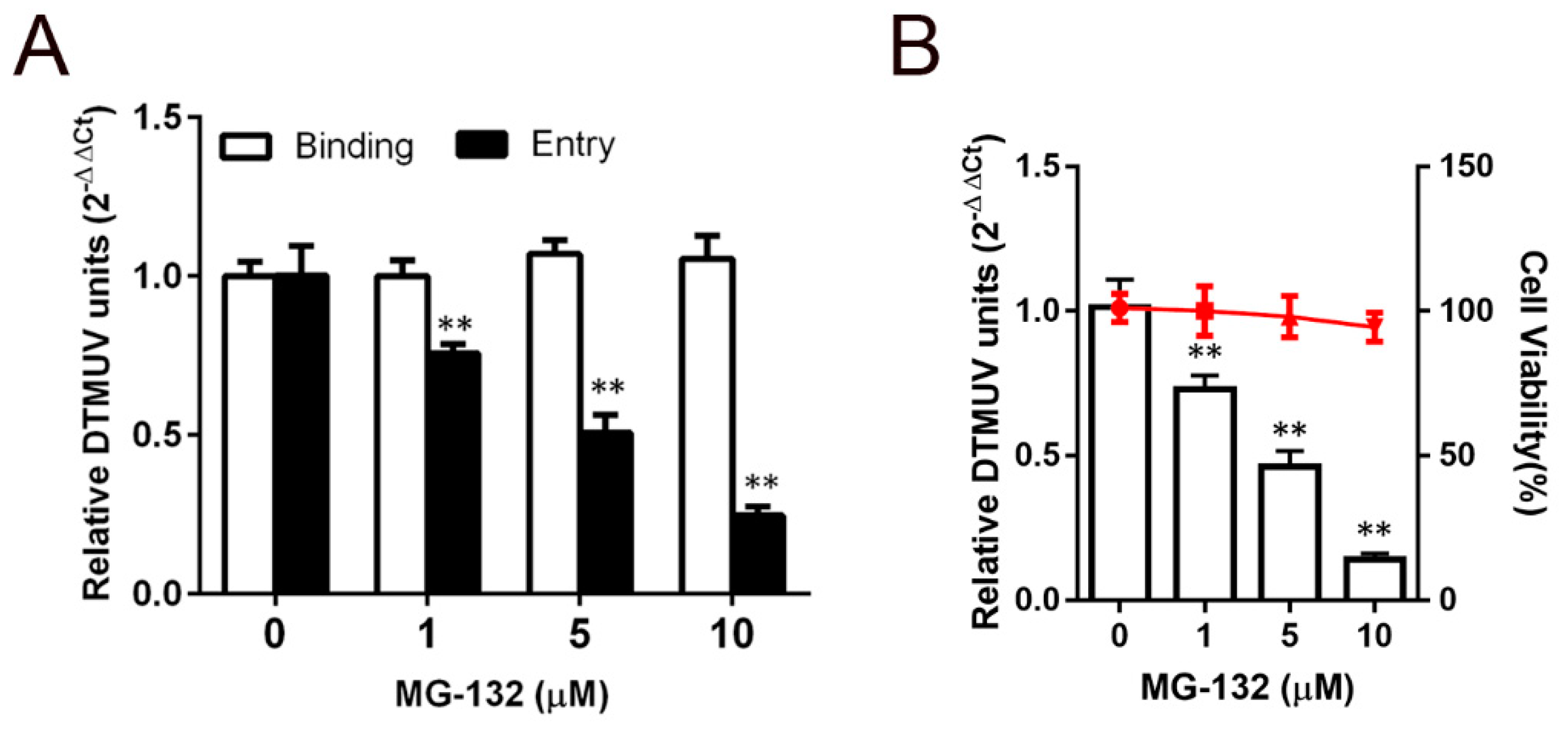 Viruses 11 01112 g005