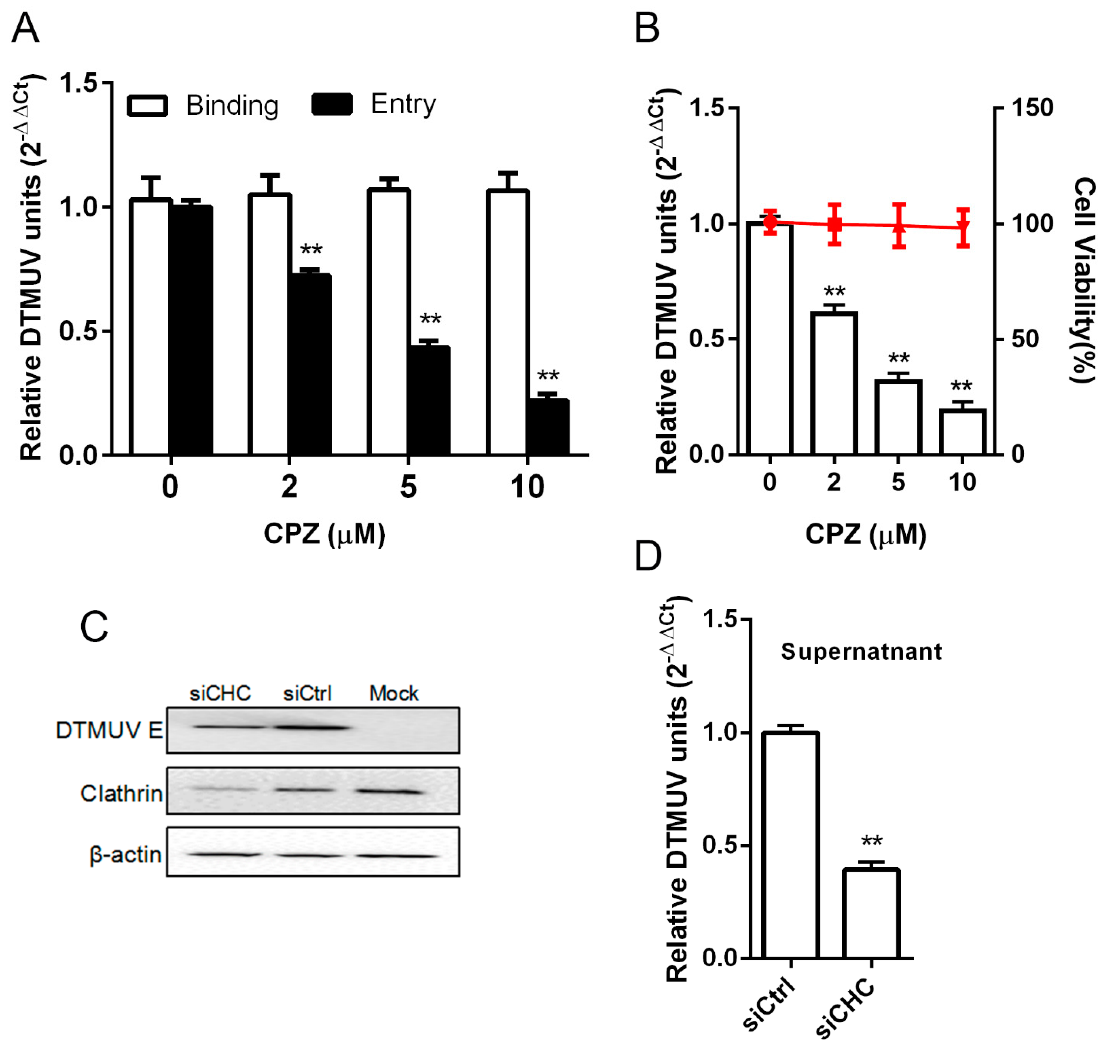 Viruses 11 01112 g006