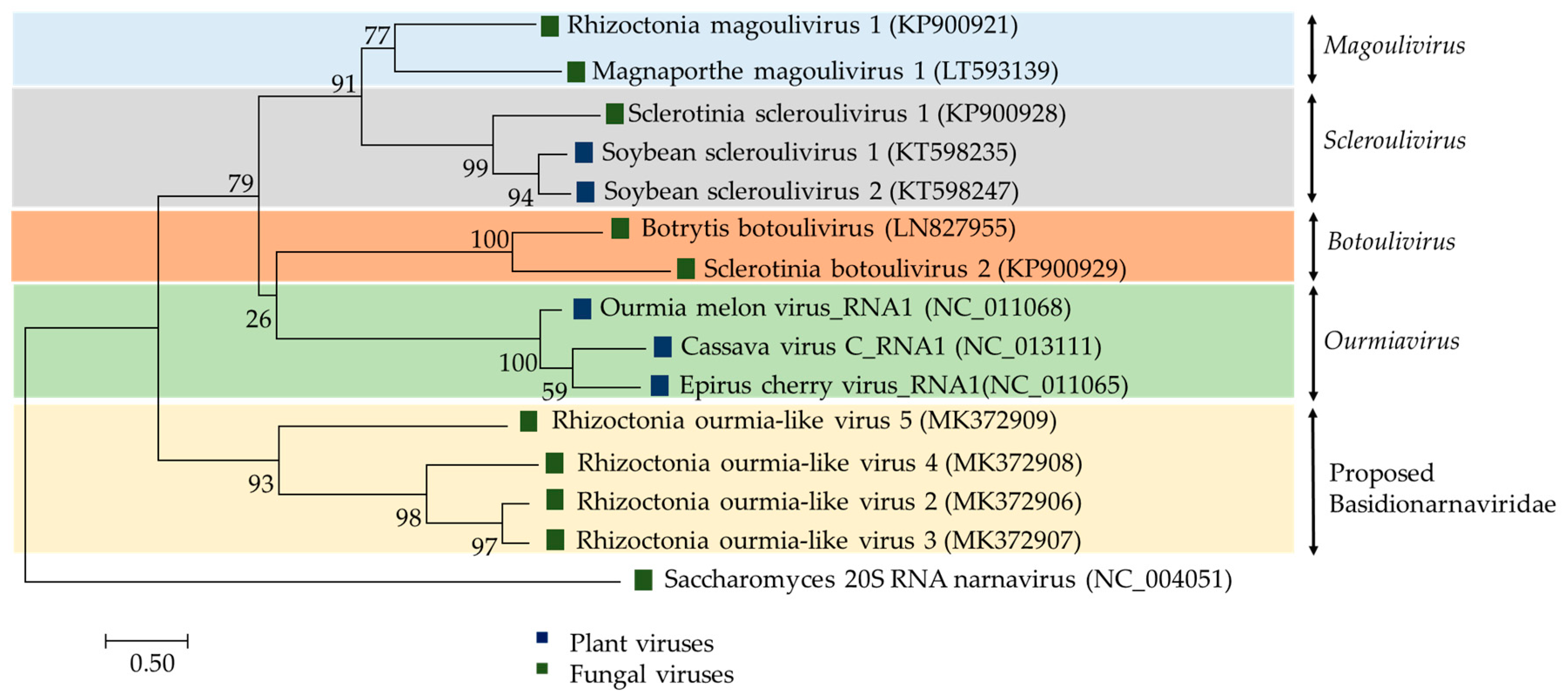 Viruses 11 01113 g003