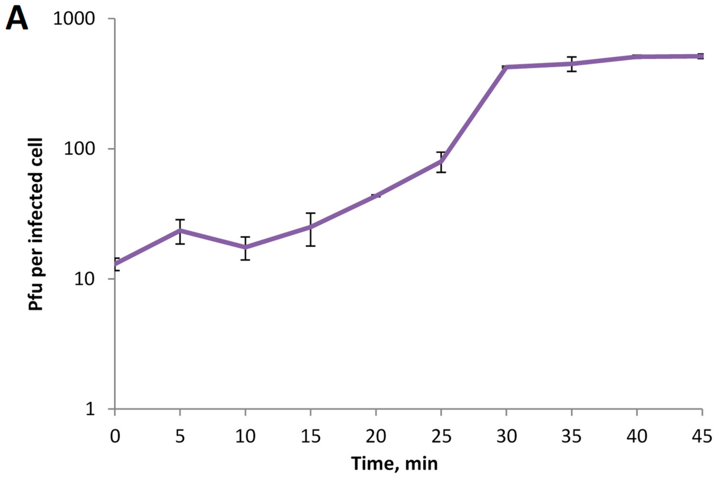 Viruses 11 01115 g003a Viruses 11 01115 g003a
